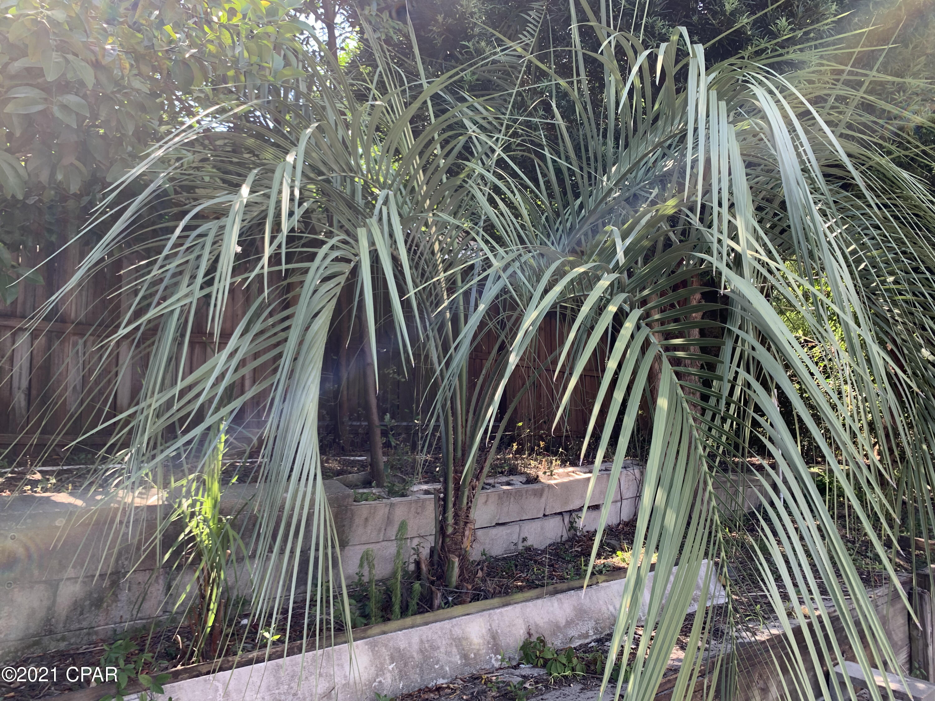 Diamond Head-Lakeside - Residential