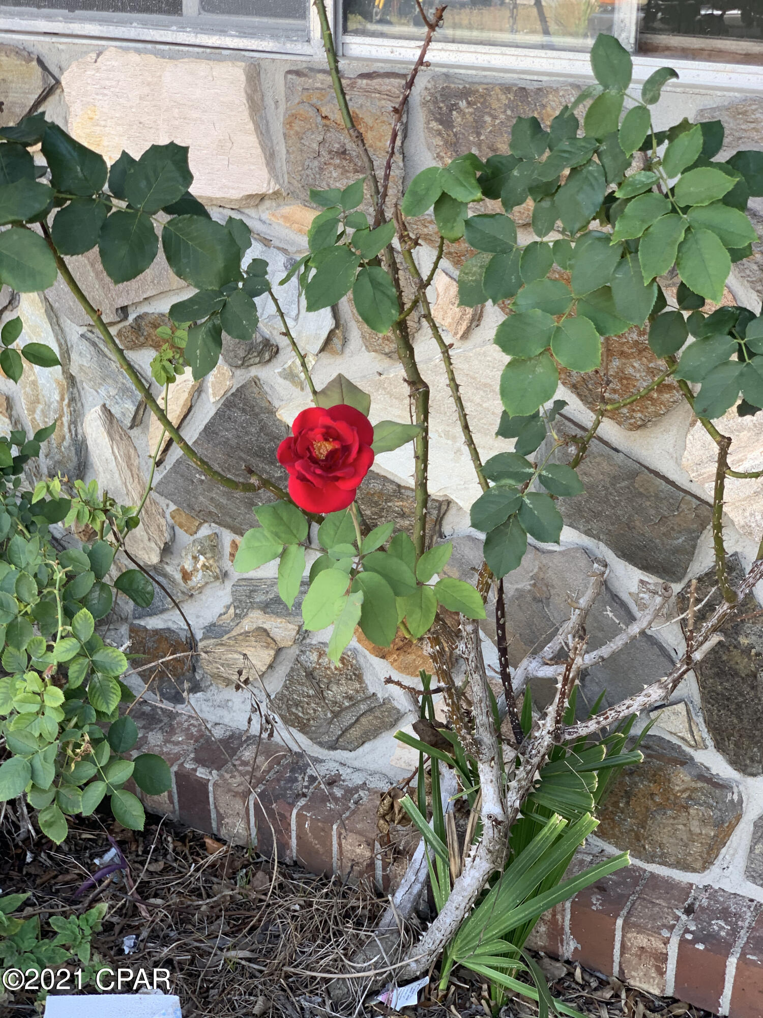 Diamond Head-Lakeside - Residential