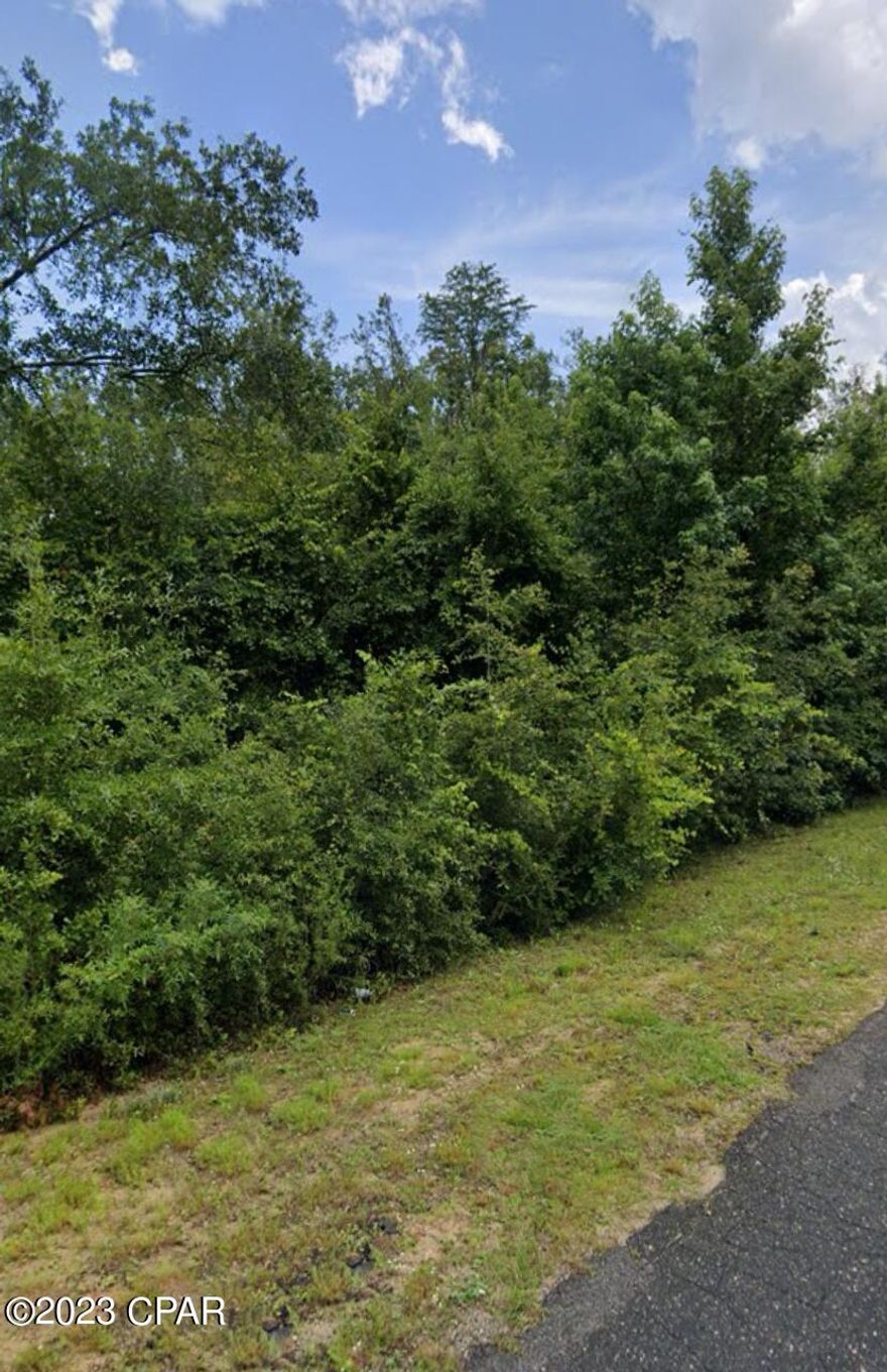 Vacant wooded lot offering a serene natural canvas for your vision. This untouched space is ready for your creative development. Approximately seven of the ten acres is in FEMA flood zone A.