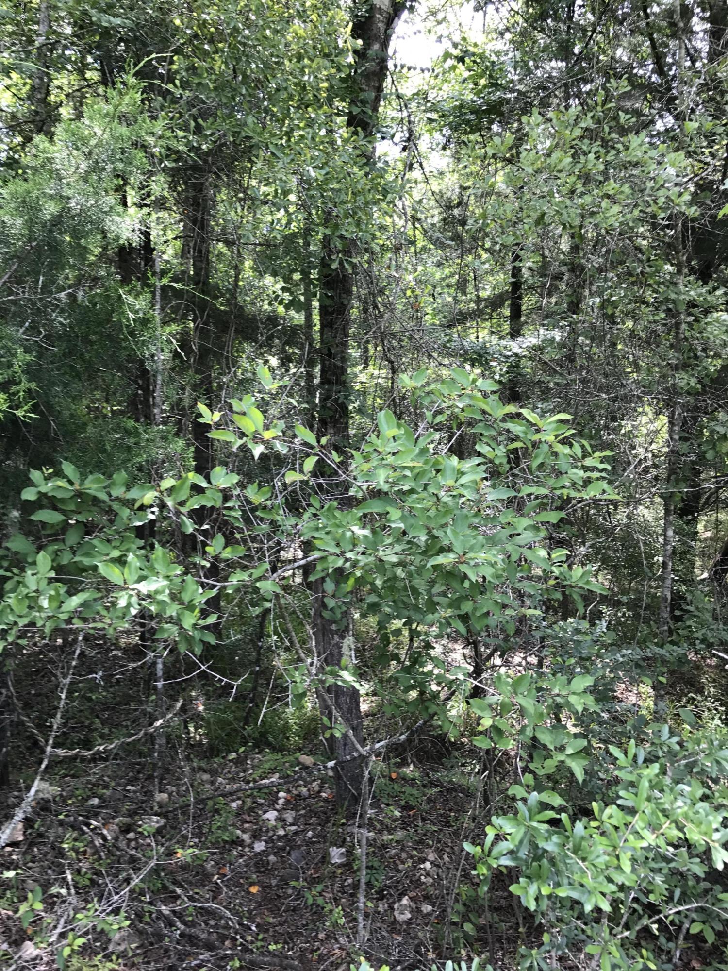 Whitetail Estates - Land