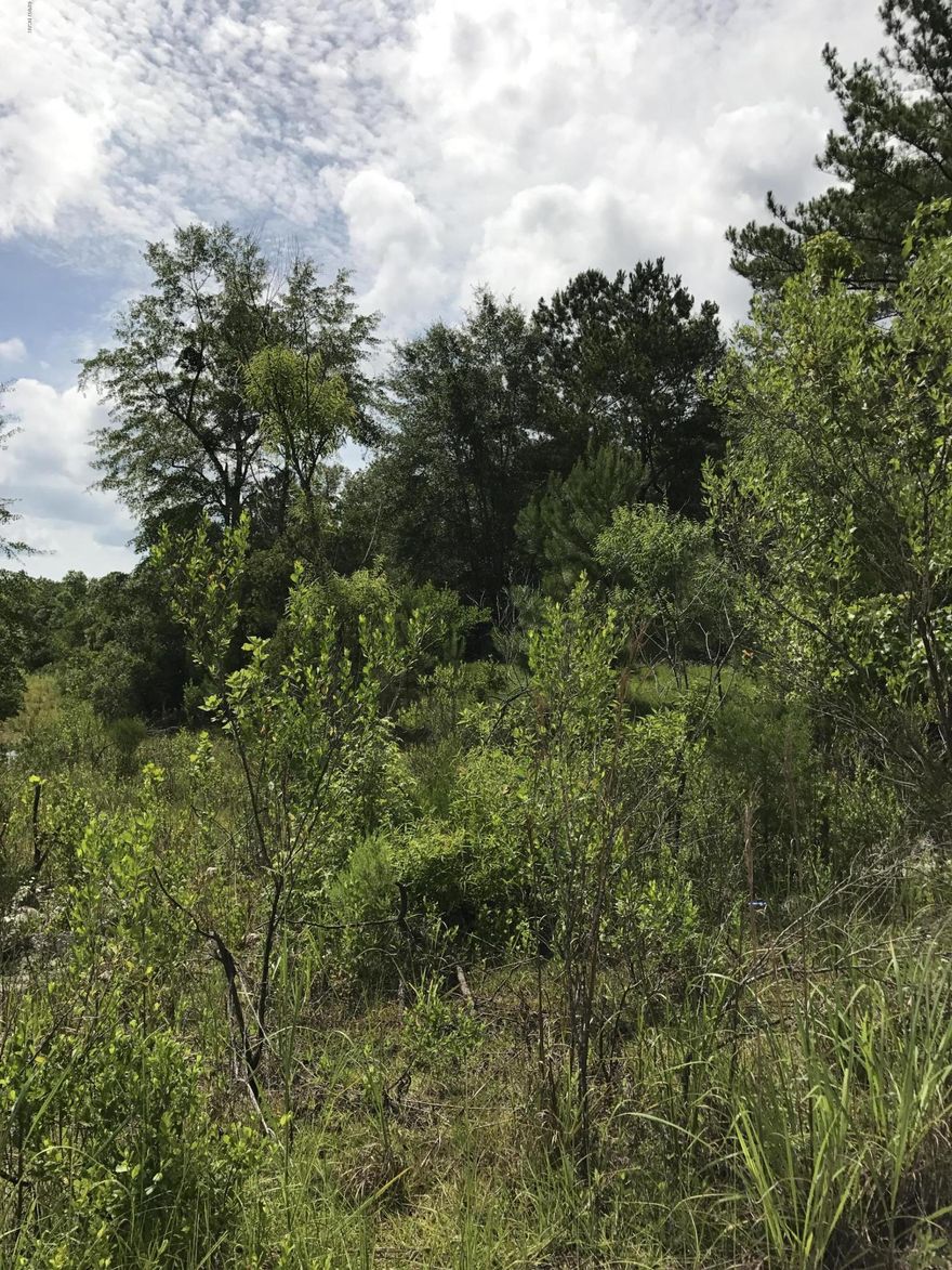 27.58+/- wooded acreage that consist of 5 lots to build on.  Property is located very near the I-10 on & off ramps & behind all of the commercial motel accomodations & restaurants.  

Seller would be willing to divide & sell each parcel seperately. 

Drive by & take a look today.  Would make a great investment or a place to build your dream home.