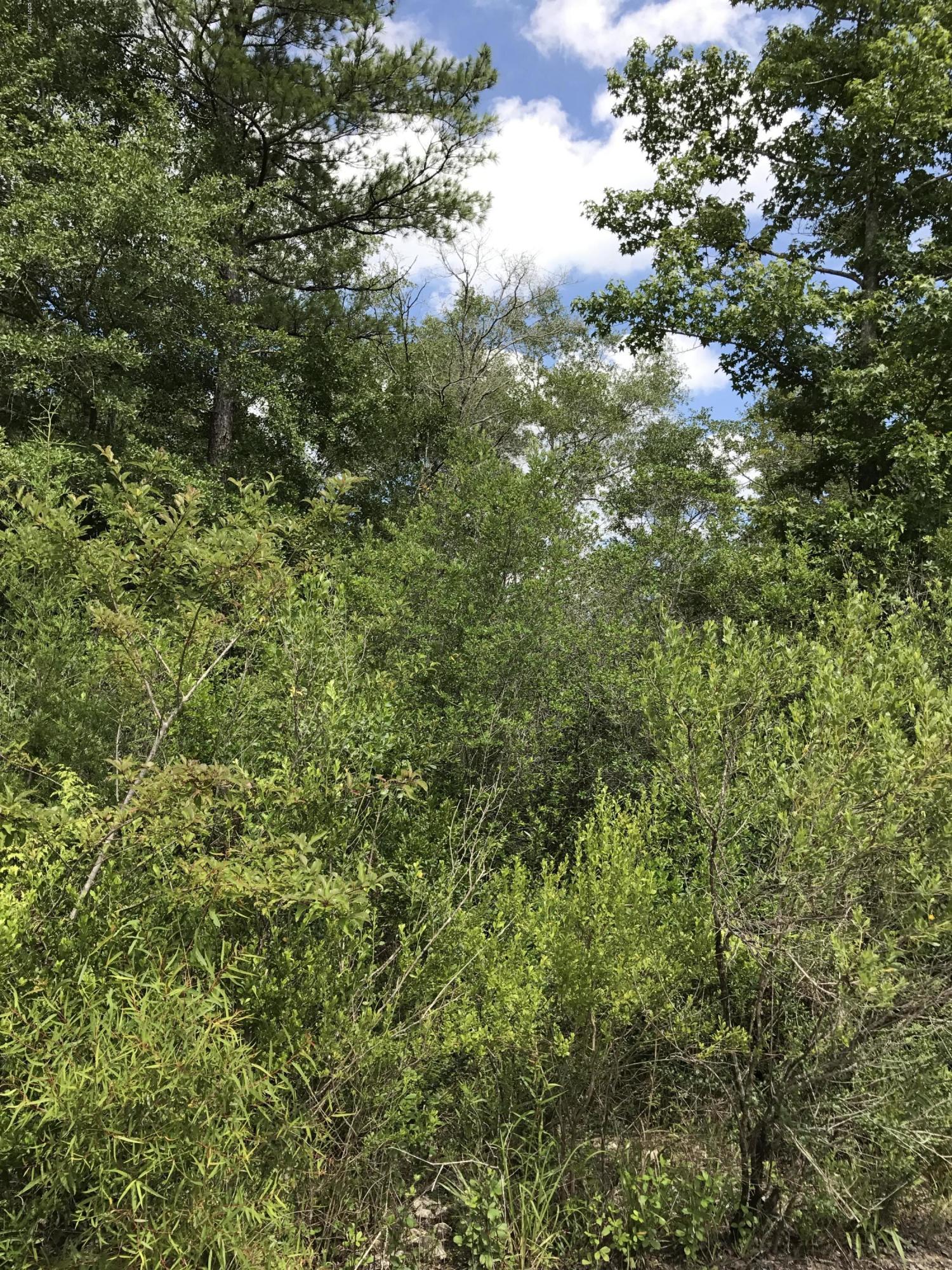 Whitetail Estates - Land