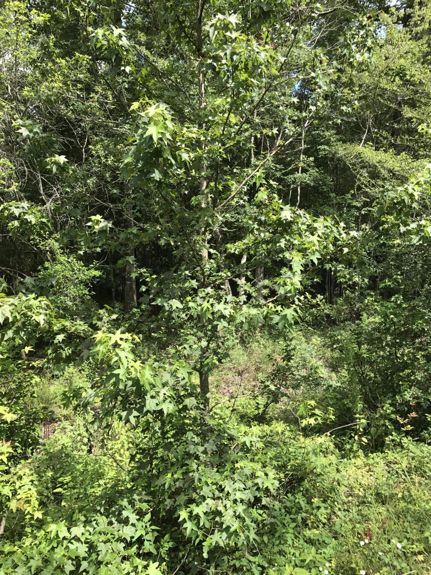 Whitetail Estates - Land