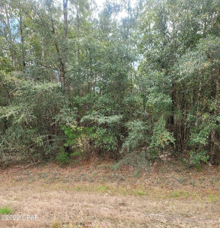 Check out this .81 +/- acre parcel near Holmes Creek. Lot is wooded and has paved road frontage. Lot is located approx. 30 miles from Panama City Beach, 3.5 miles from Choctawhatchee River, and 1.1 miles away from the public boat ramp to access Holmes Creek. Great area for fishing and boating. Buyer to verify any/all info.