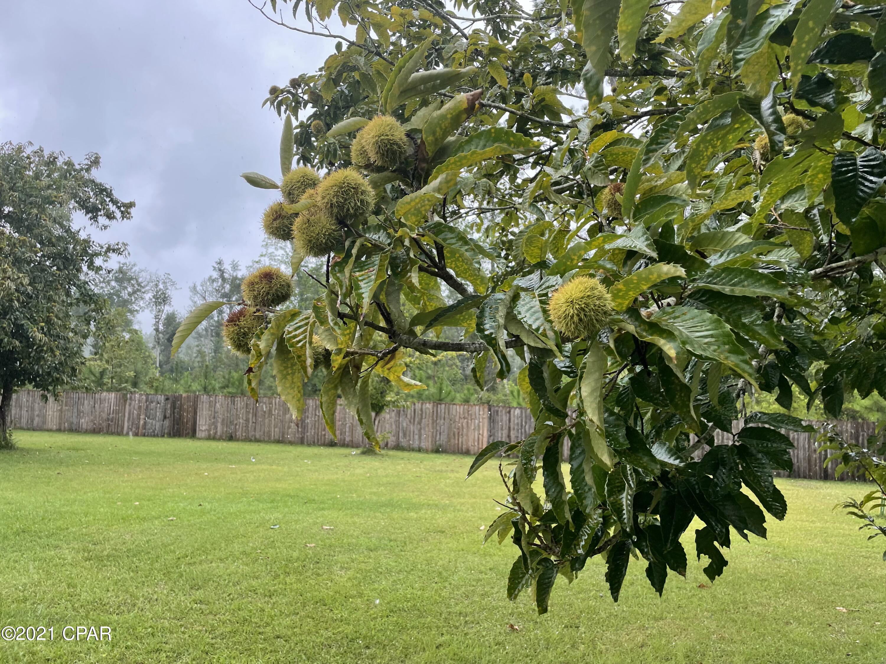 Compass Lake Hills Unit 4 - Residential