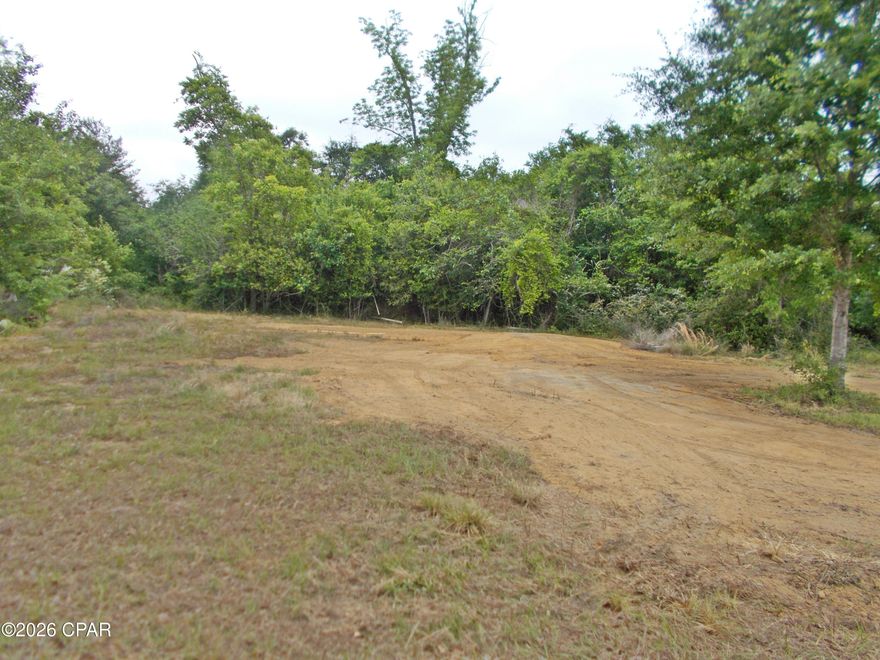 Very pretty level 5 ac some cleared with a submergible deep well appx 250 ft deep according to seller. septic does not work per owner. There was a mobile home there at one time. Paved road  nice place  for a home and a cleared area for a garden. the seller said he has a survey. No restrictions