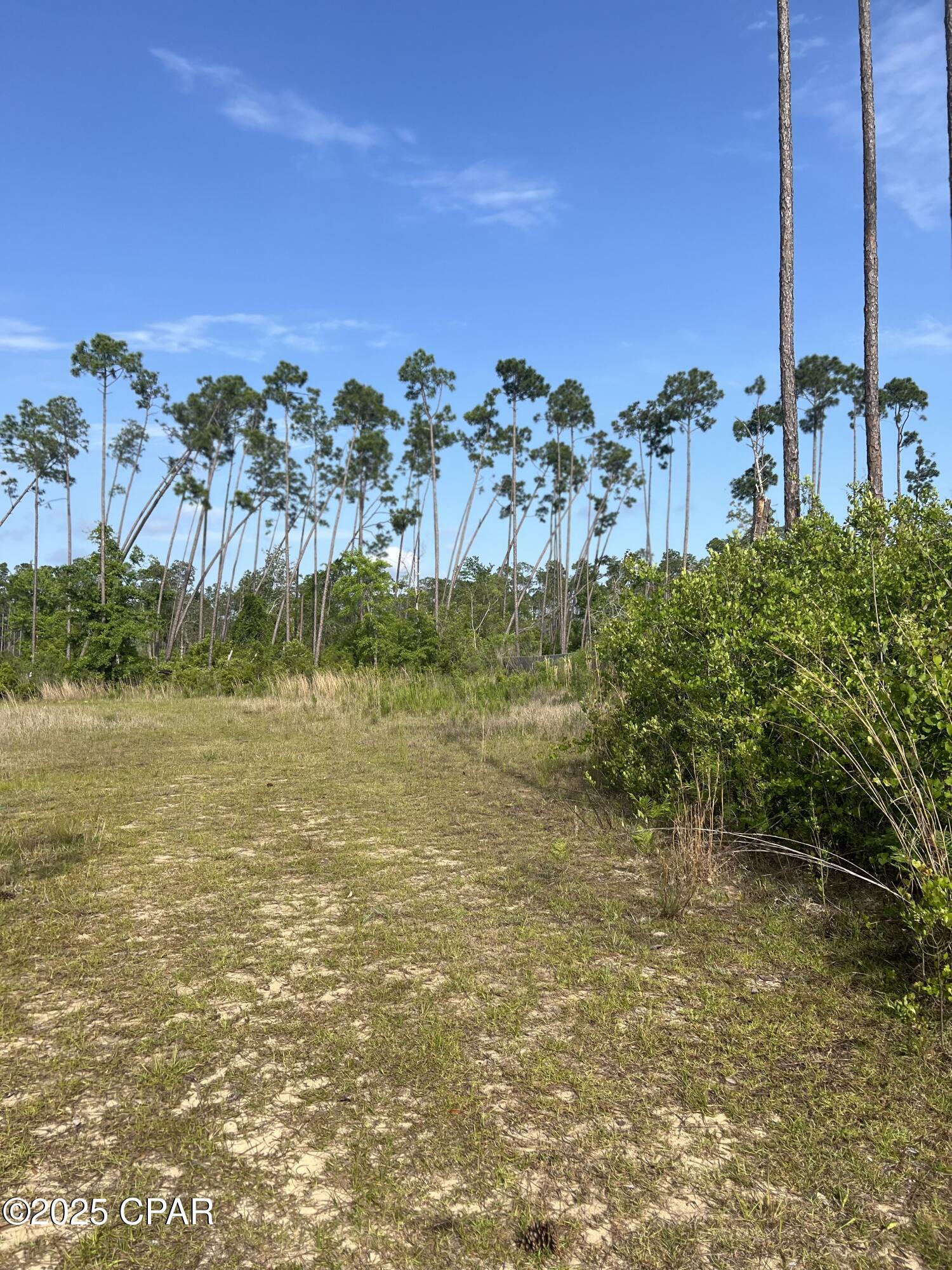 Cedar Creek At Deerpoint Lake - Land