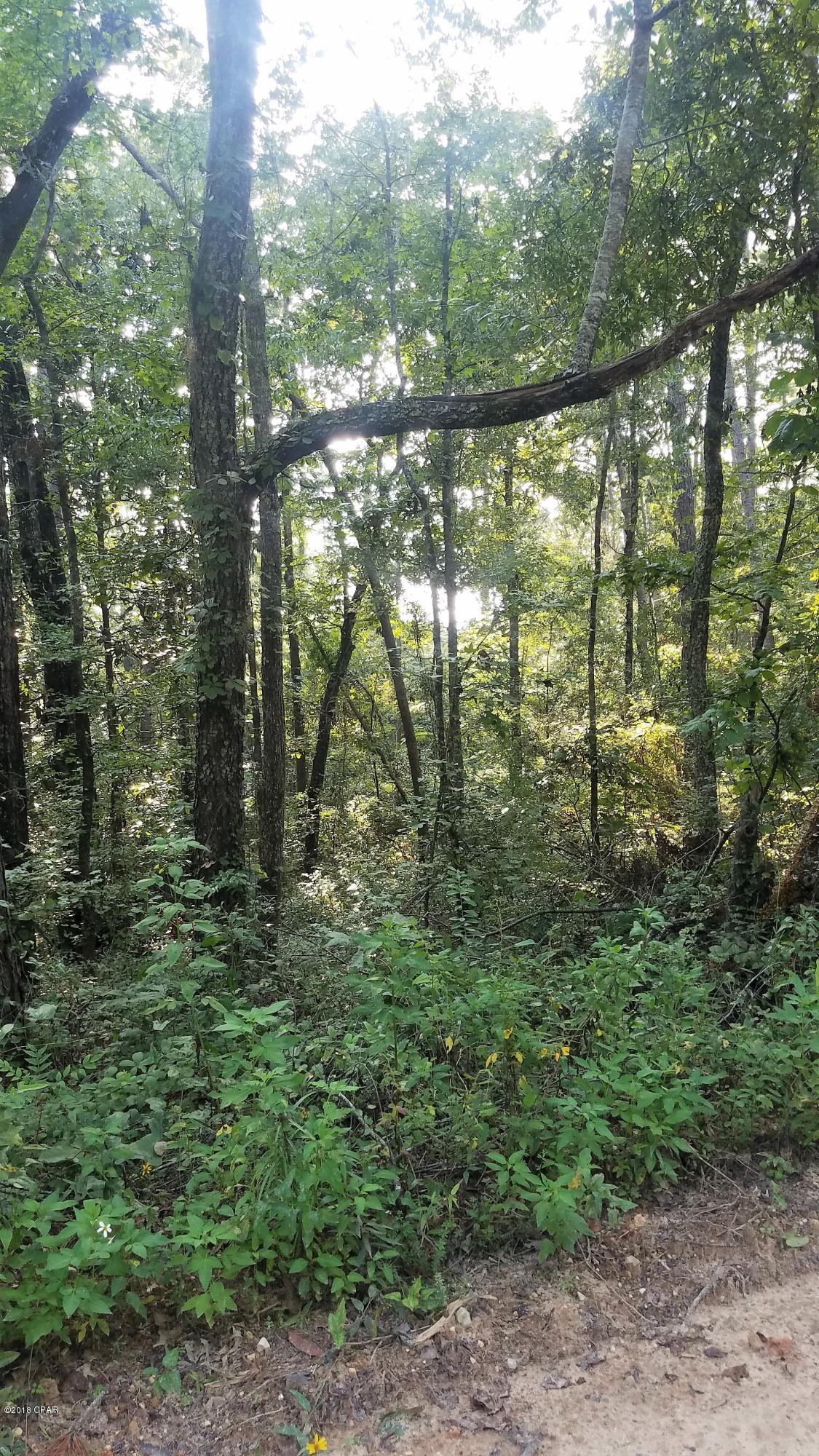 Ocheesee Estates - Land