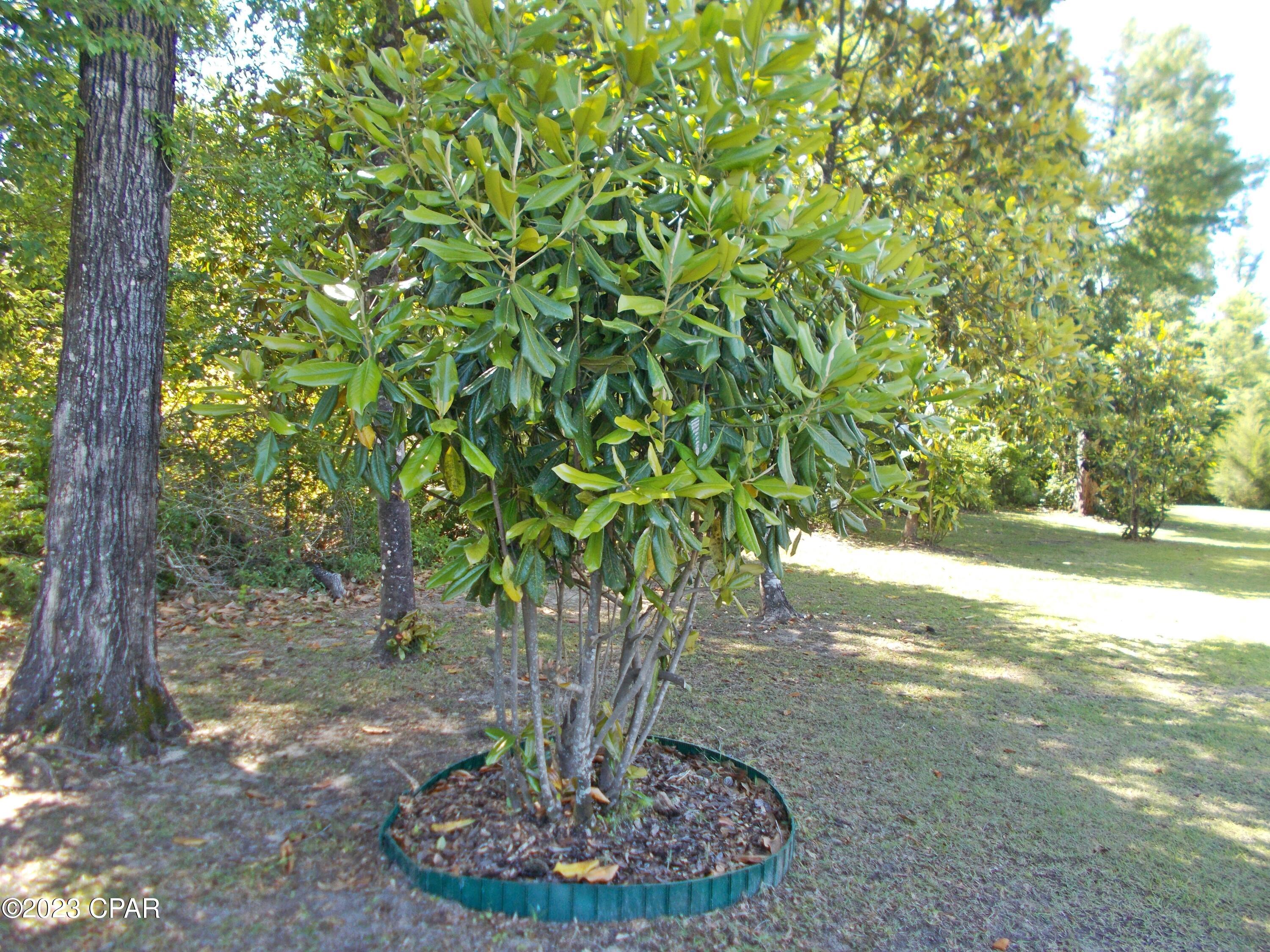 Indian Springs - Residential