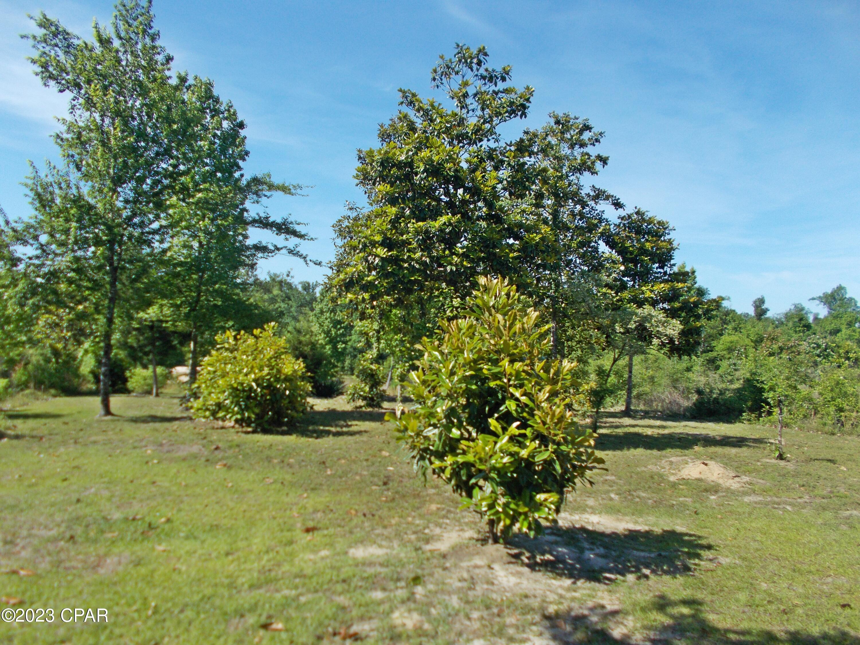 Indian Springs - Residential