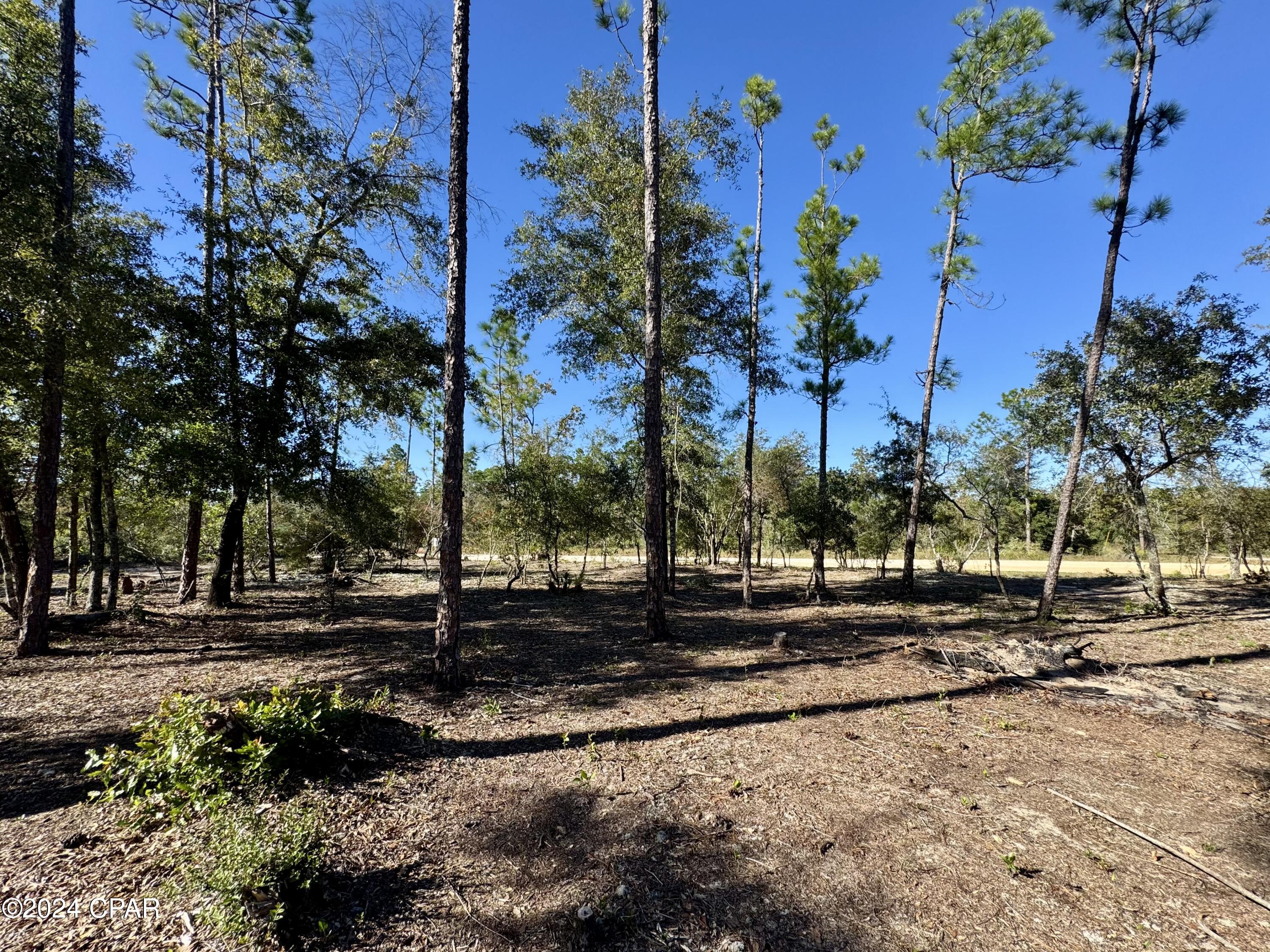 Compass Lake Hills Unit 6 - Land