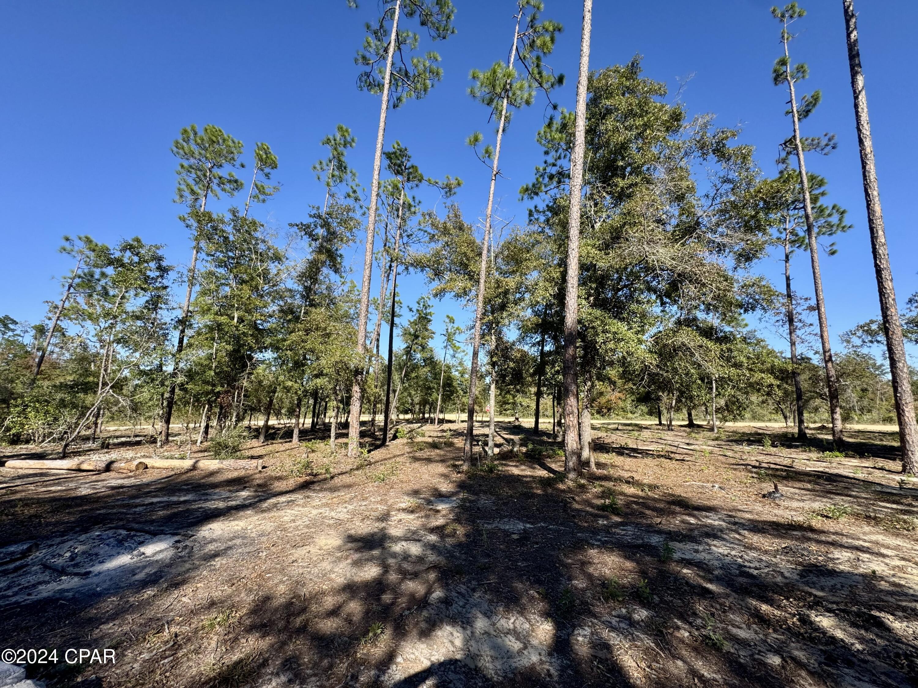 Compass Lake Hills Unit 6 - Land