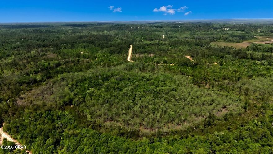 Discover an exceptional opportunity to own approximately 225 acres of pristine, wooded land near Compass Lake in the Hills. This expansive property consists of four connecting parcels, offering flexibility for a variety of uses while maintaining the convenience of one large, continuous tract.

The land is richly forested, making it well-suited for timber investment or selective clearing to create your vision of a custom home site or multiple residences. With ample acreage, there's plenty of room for trails, hunting, outdoor recreation, or a thoughtfully planned residential development.

Conveniently located just 30 minutes from downtown Marianna, you'll enjoy easy access to shopping, dining, and local amenities while maintaining the peace and seclusion of rural living. Plus, the white-sand beaches and emerald waters of Panama City Beach are only about an hour away, offering the perfect balance between country living and coastal escapes.

Whether you're an investor, developer, or someone dreaming of owning a large, private piece of Florida land, this property presents endless possibilities. Don't miss the chance to secure a substantial tract in a growing and desirable area.