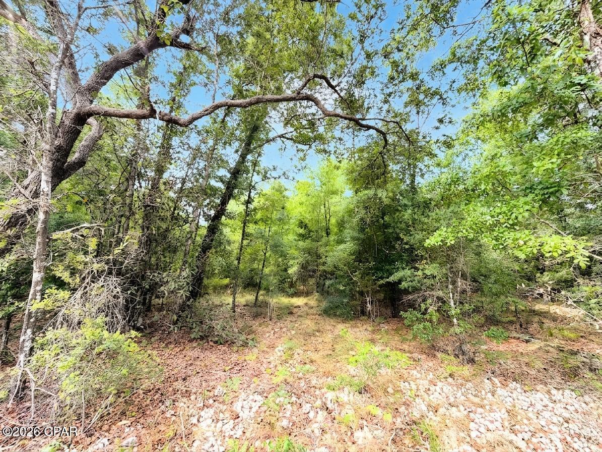 Compass Lake - Land