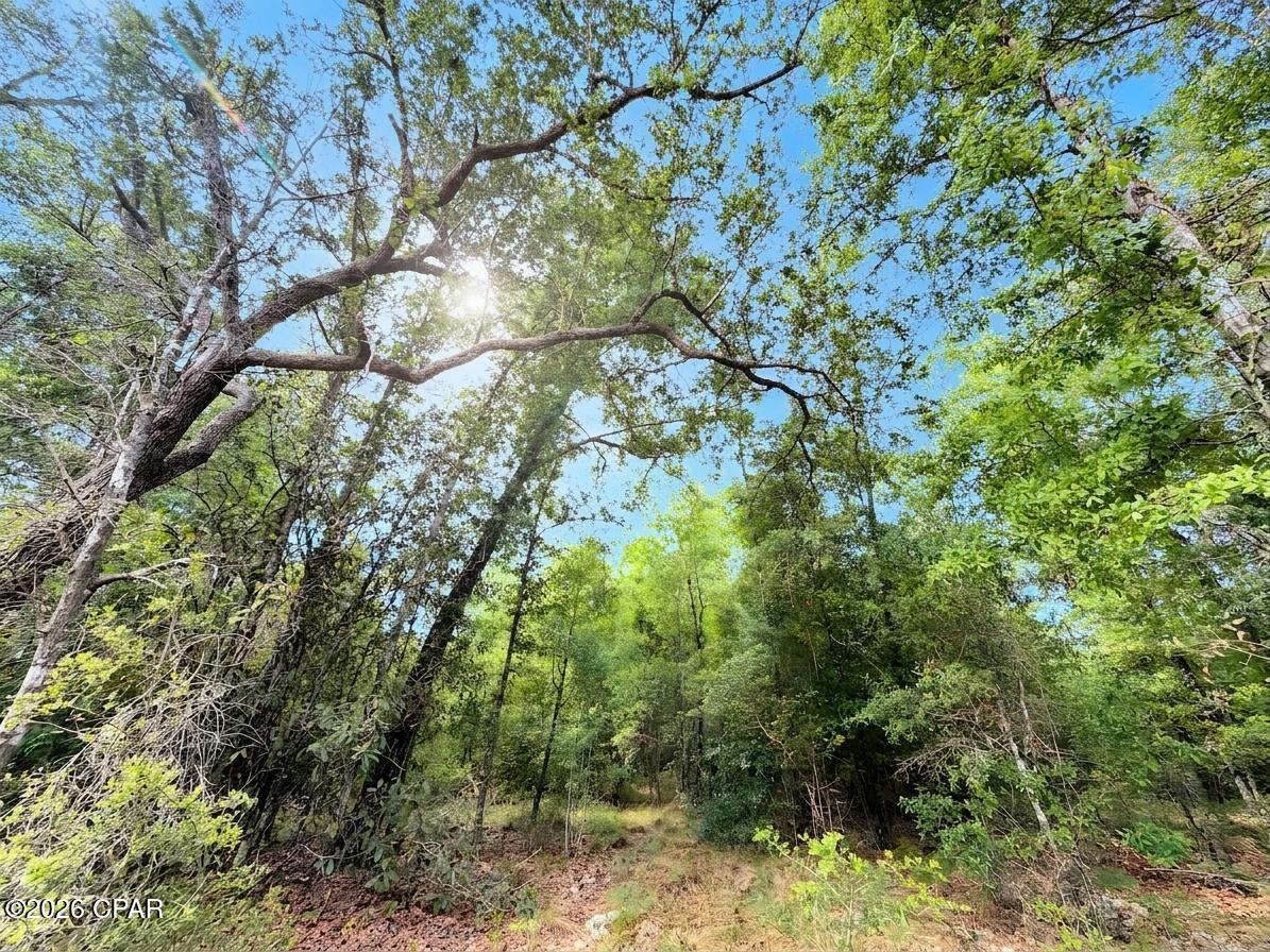 Compass Lake - Land