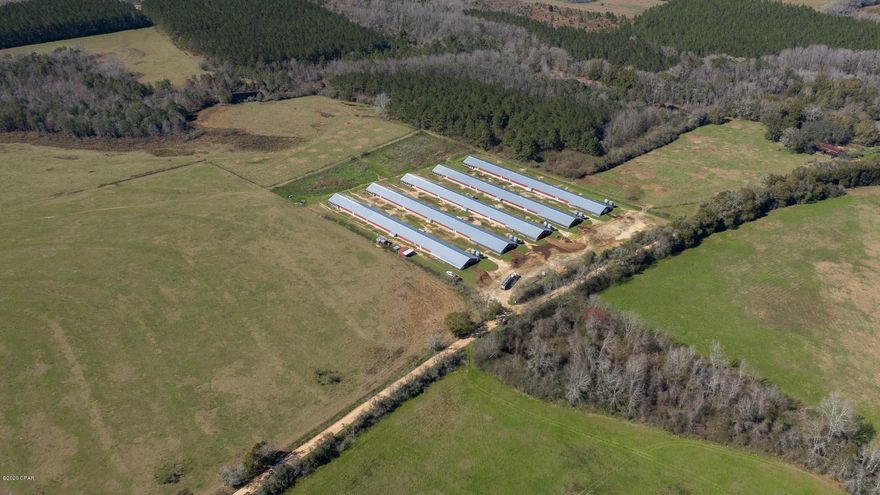 cattle farm with a house