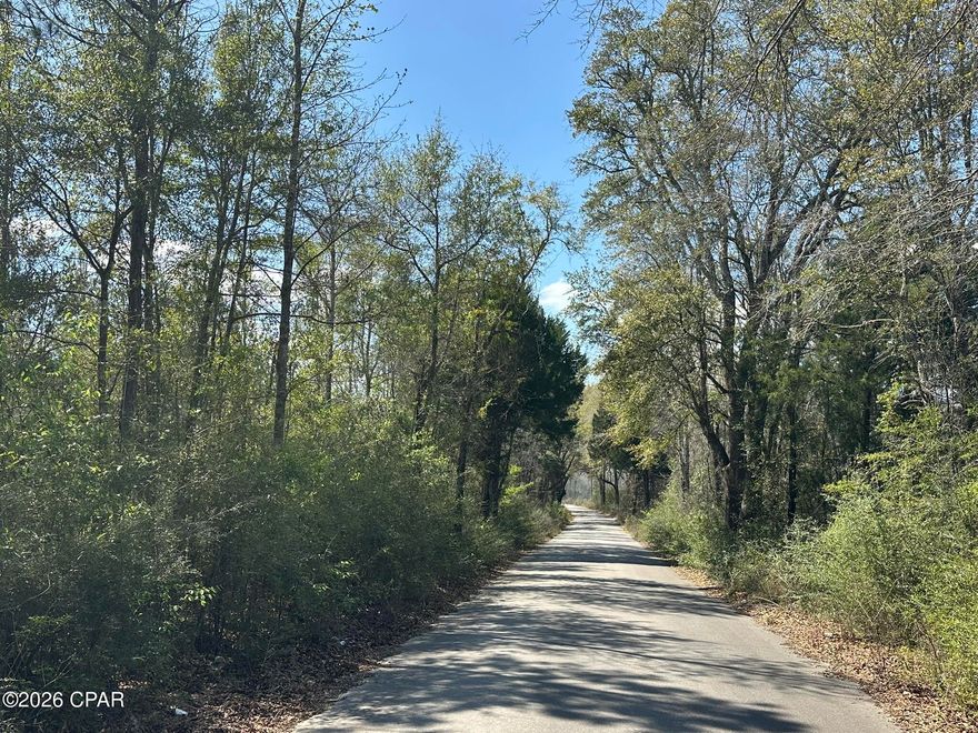 Dream Location for Hunters Paradise either way you won't want to miss this opportunity! This Beautiful 40 +/- Acres of prime land has so much to offer. Bring your hunting gear, Horses, and ATVS LOCATION LOCATION!!!! This Property has Easy Access to Panama City Beaches I-10, Hwy 79, Hwy 81, and Hwy 90.  DEED RESTRICTIONS. SEE DOCUMENTS