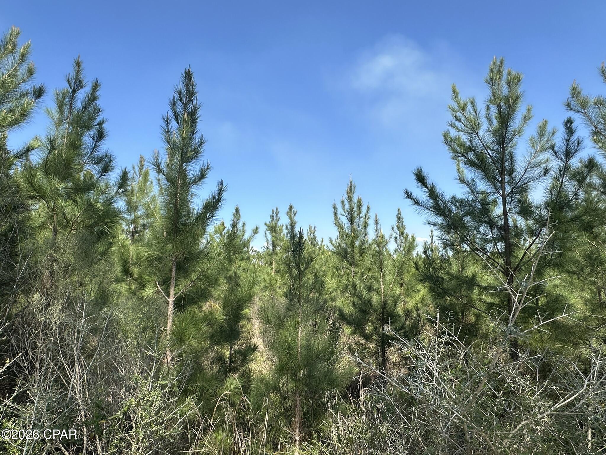 [No Recorded Subdiv] - Land