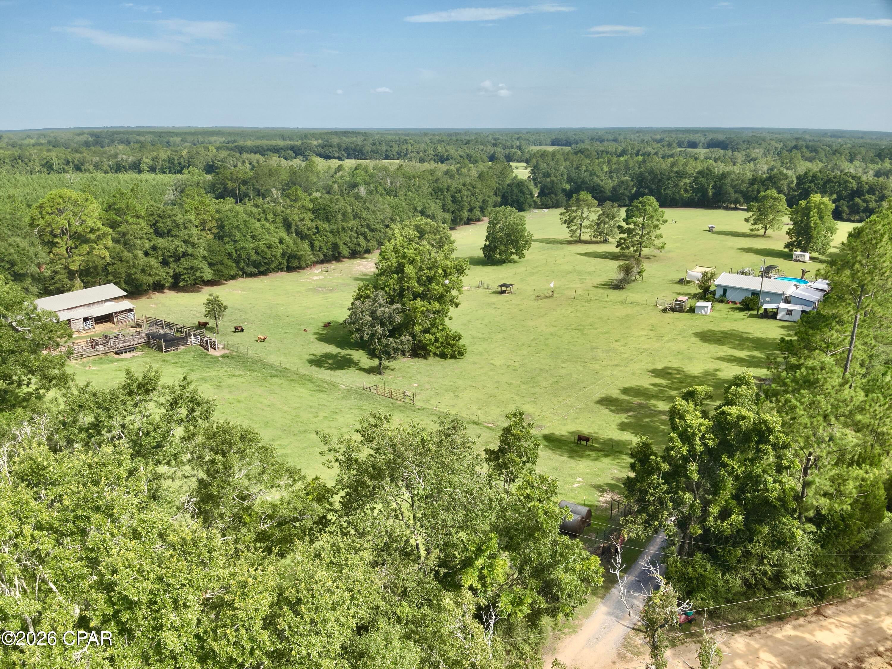 1036 Broom Road