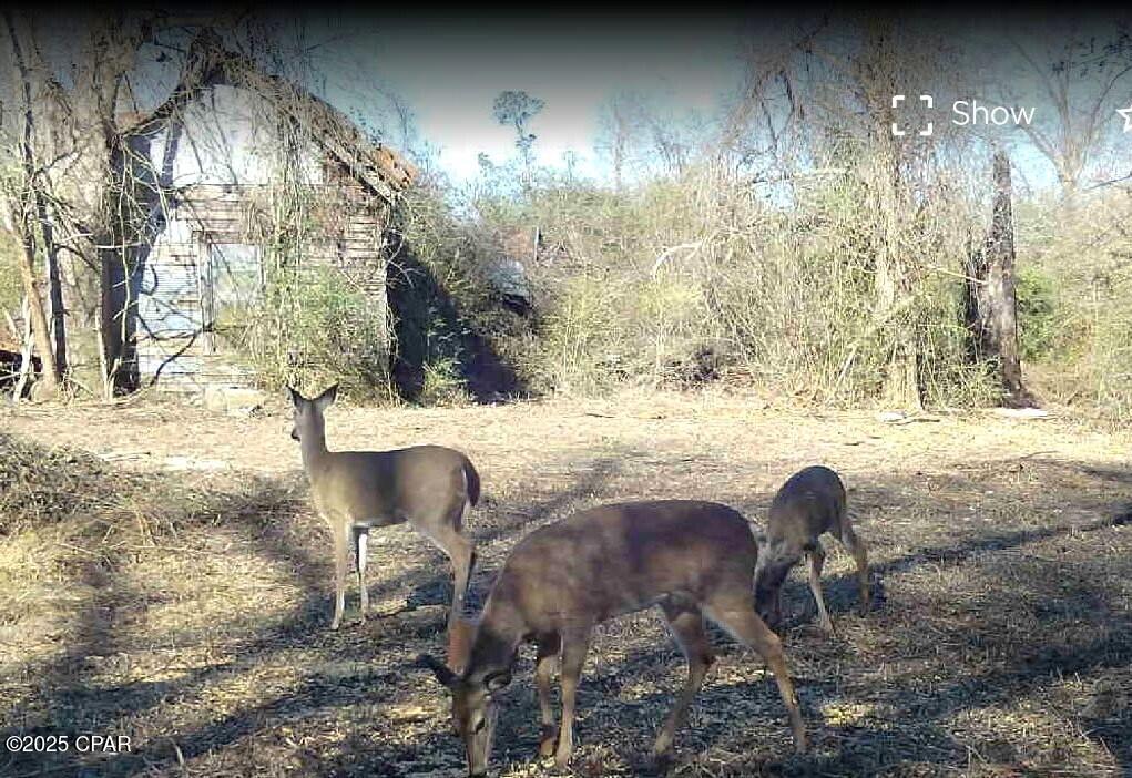 [No Recorded Subdiv] - Land