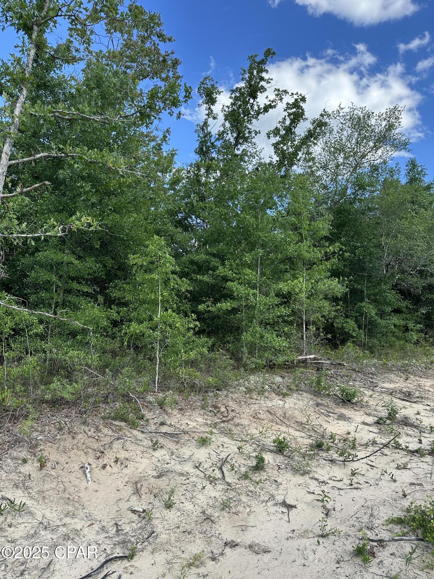 Lake Mckenzie Homes - Land