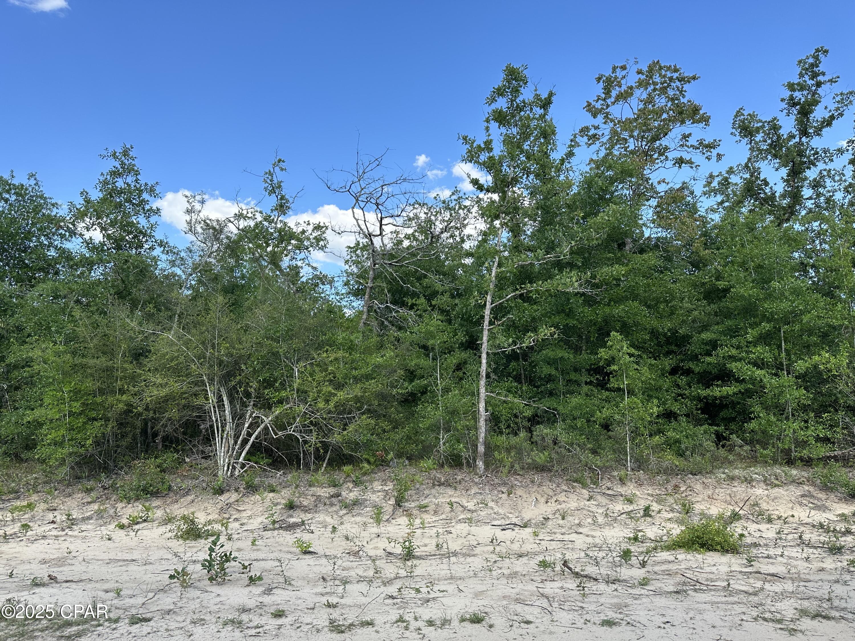 Lake Mckenzie Homes - Land