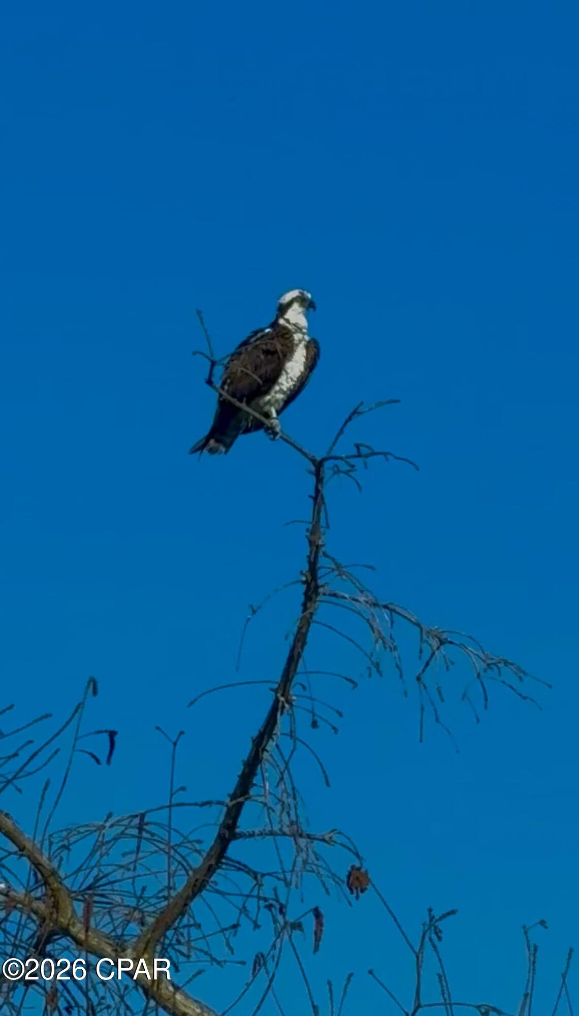 Lakeshore Heights - Residential