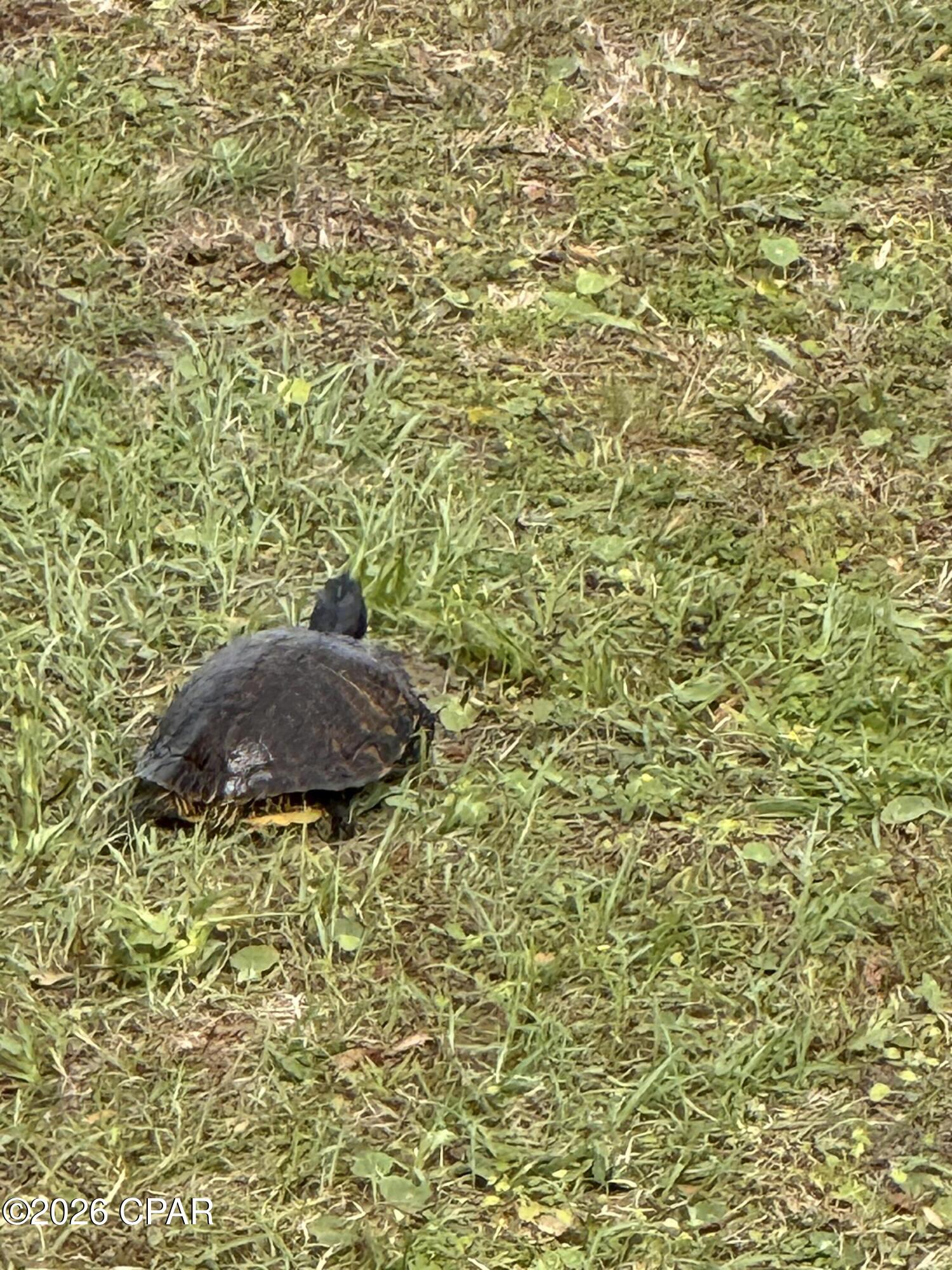 Lakeshore Heights - Residential