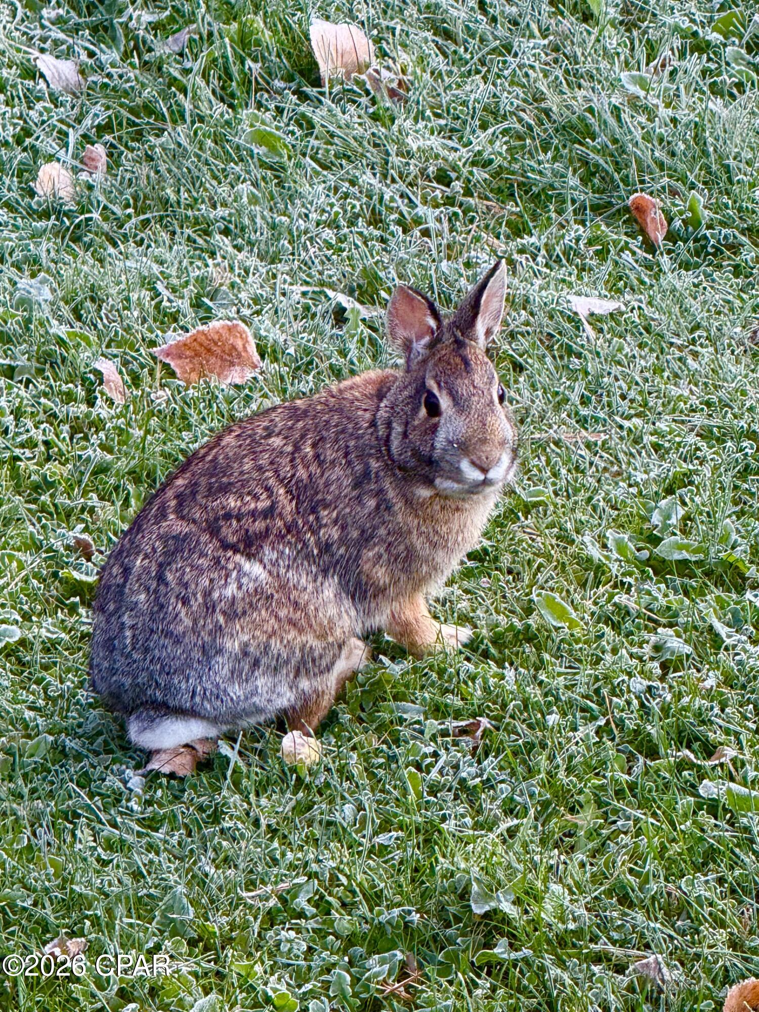 Lakeshore Heights - Residential