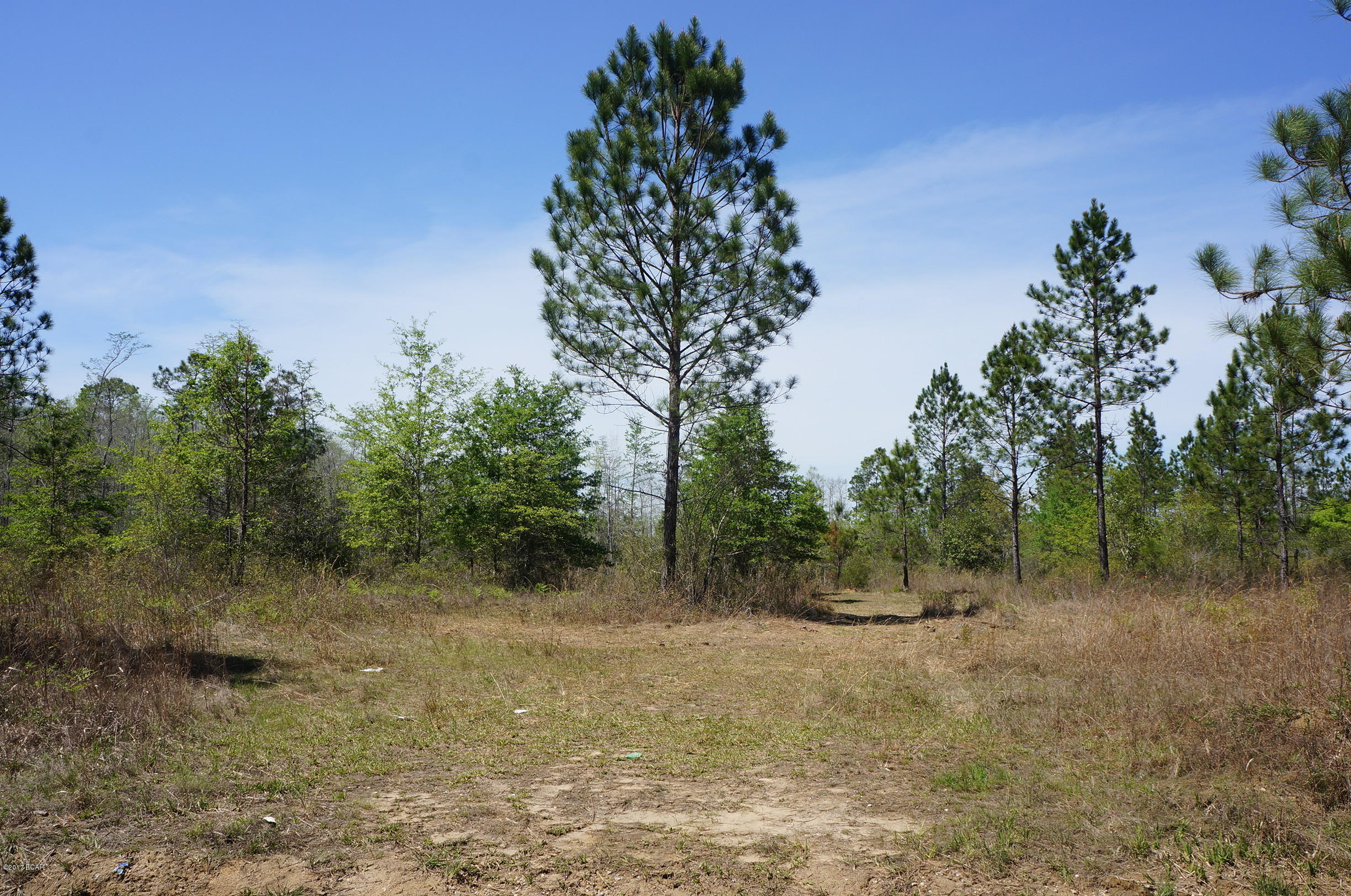 [No Recorded Subdiv] - Land