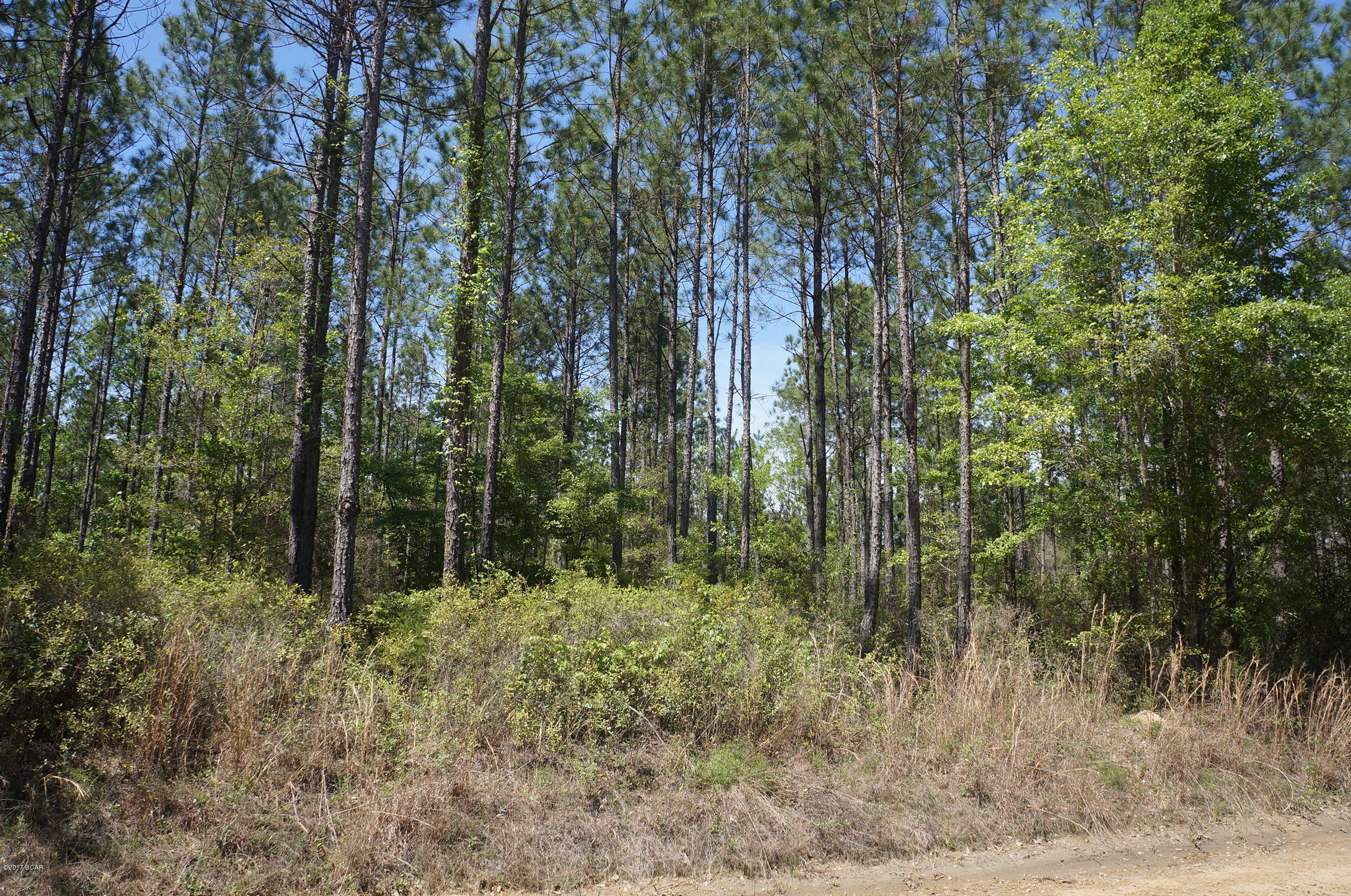 [No Recorded Subdiv] - Land