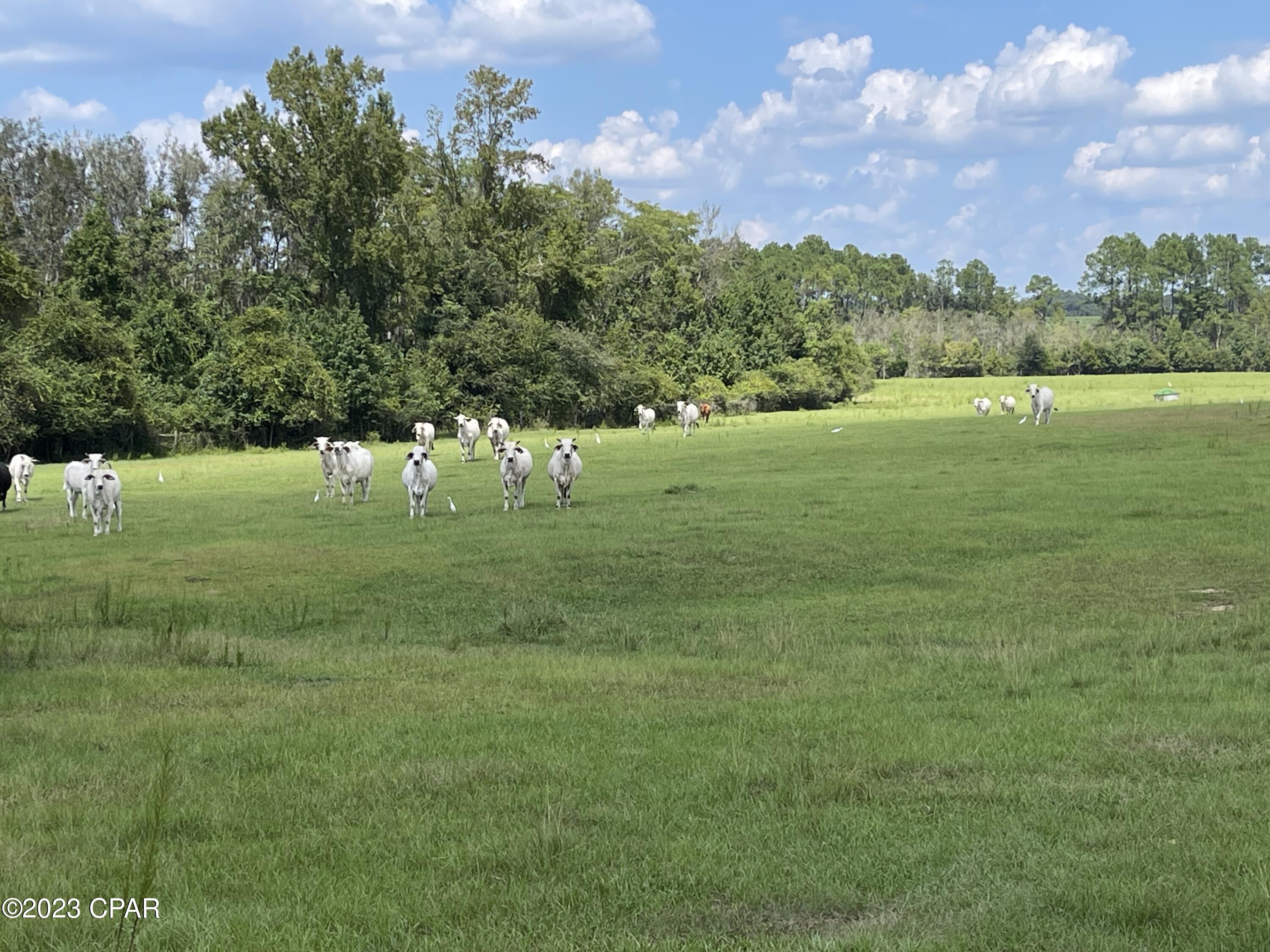 No Named Subdivision - Land