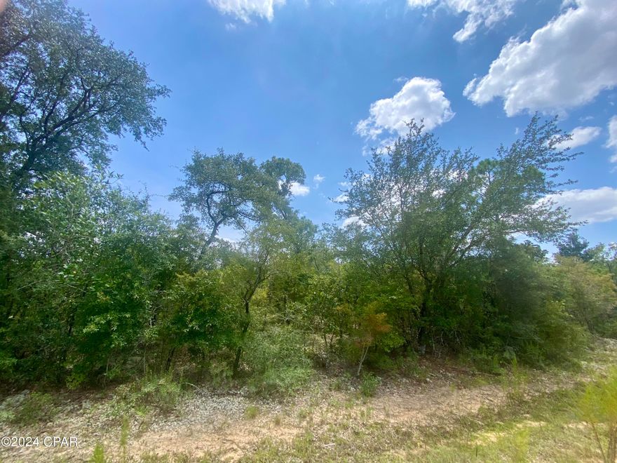 Nice lot in Compass Lake in the Hills!  You can build a home on this lot and the ordinance has just changed so you can put a new mobile home on the lot.  There are power lines in front of the lot so connecting your home to electricity will be easy.  There is a voluntary POA that's $135 annually.  Amenities include a community pool, cabins, RV park, tennis courts, community center, etc.