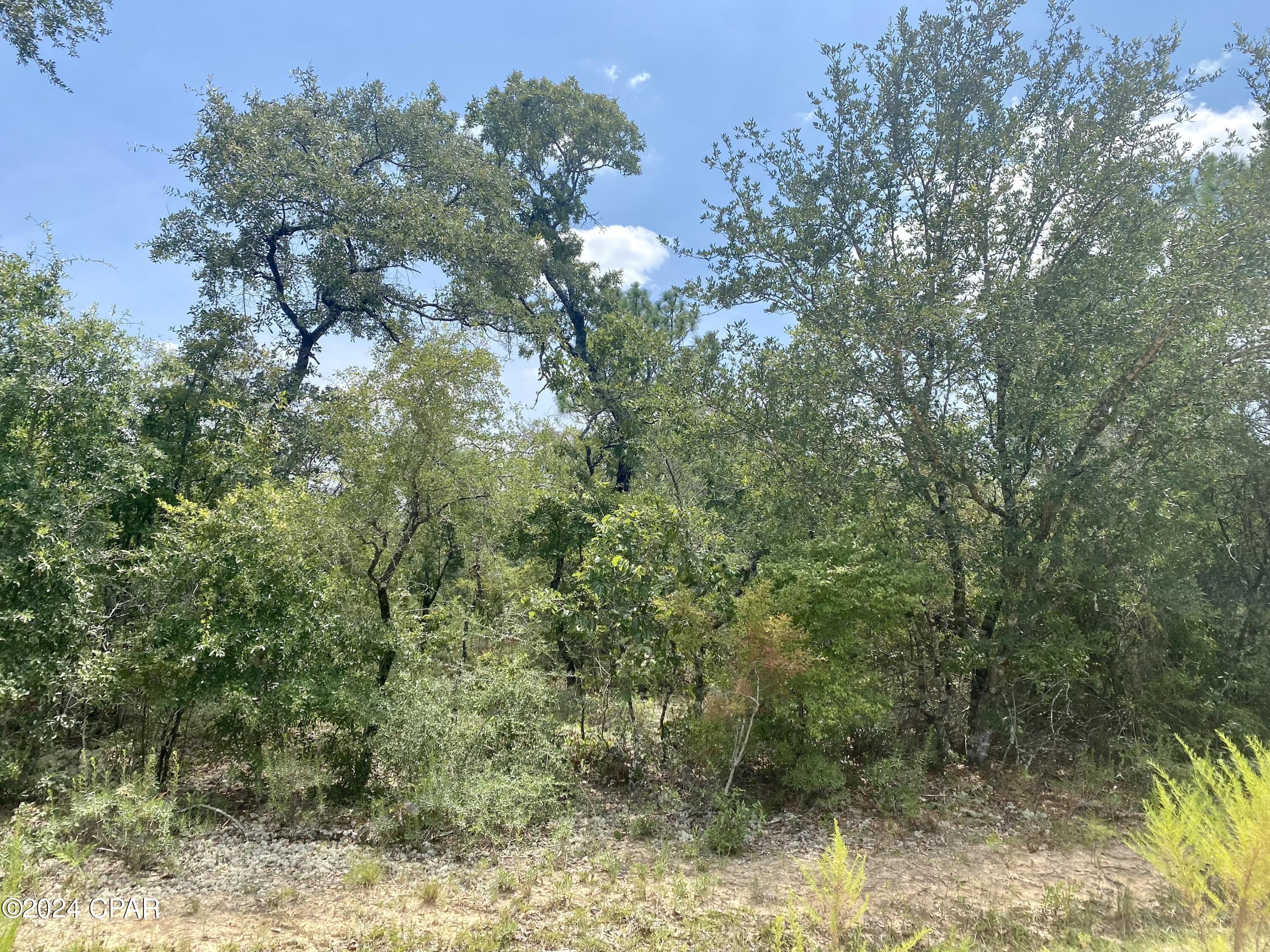 Compass Lake Hills Unit 6 - Land