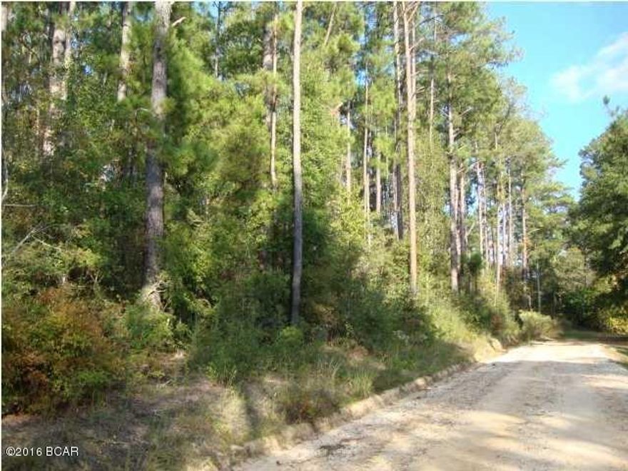 CURRENTLY UNDER CONTRACT, SELLER ACCEPTING BACKUP OFFERS -2 Acres Land. Wooded with hardwoods and old oaks. High and Dry. Frontage on county maintained road. Short distance to town.