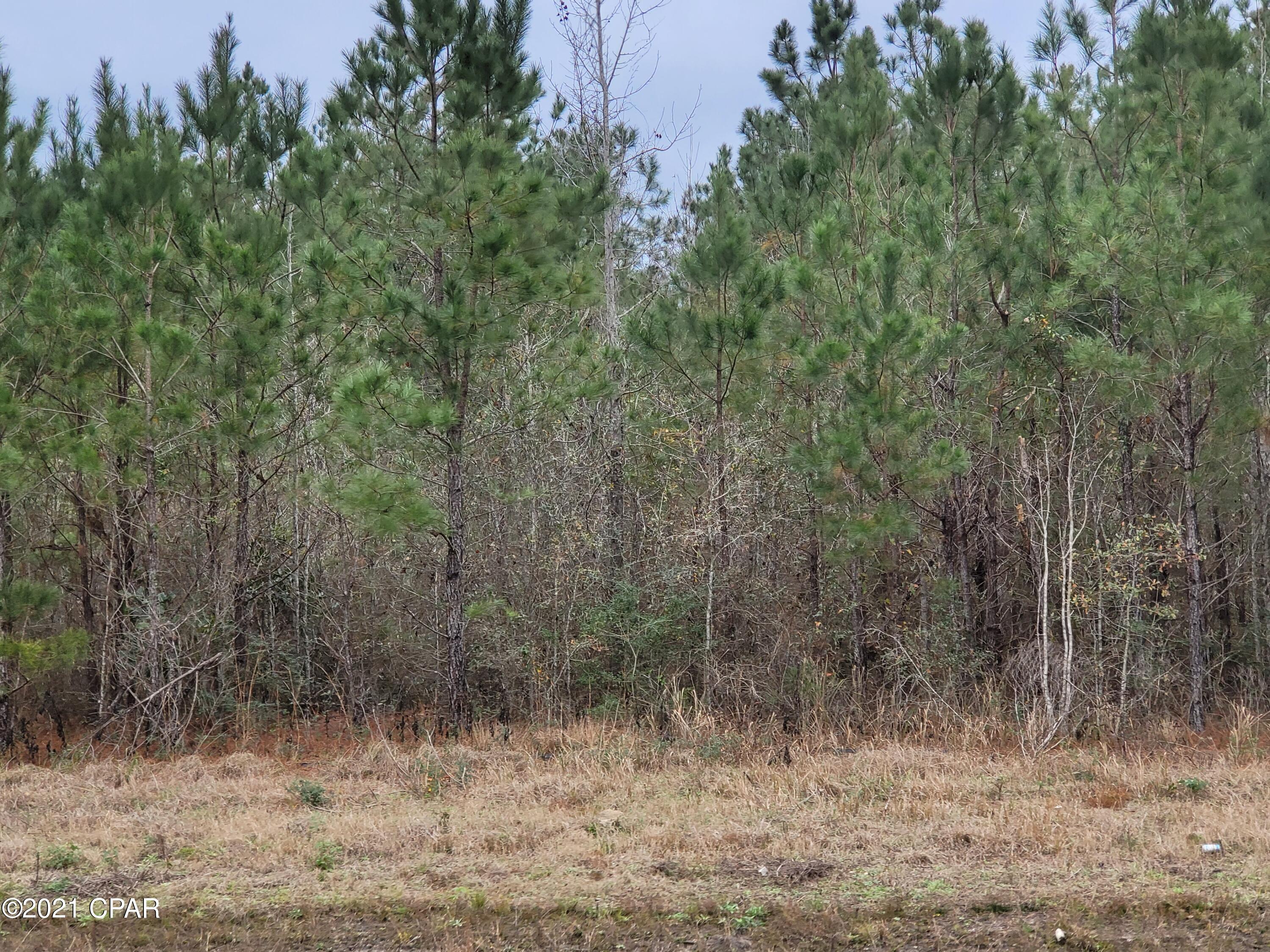 No Named Subdivision - Land