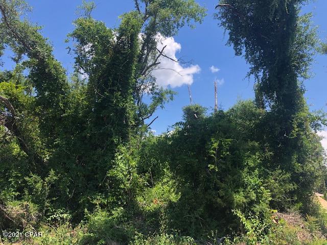 Deerpoint Estates - Land