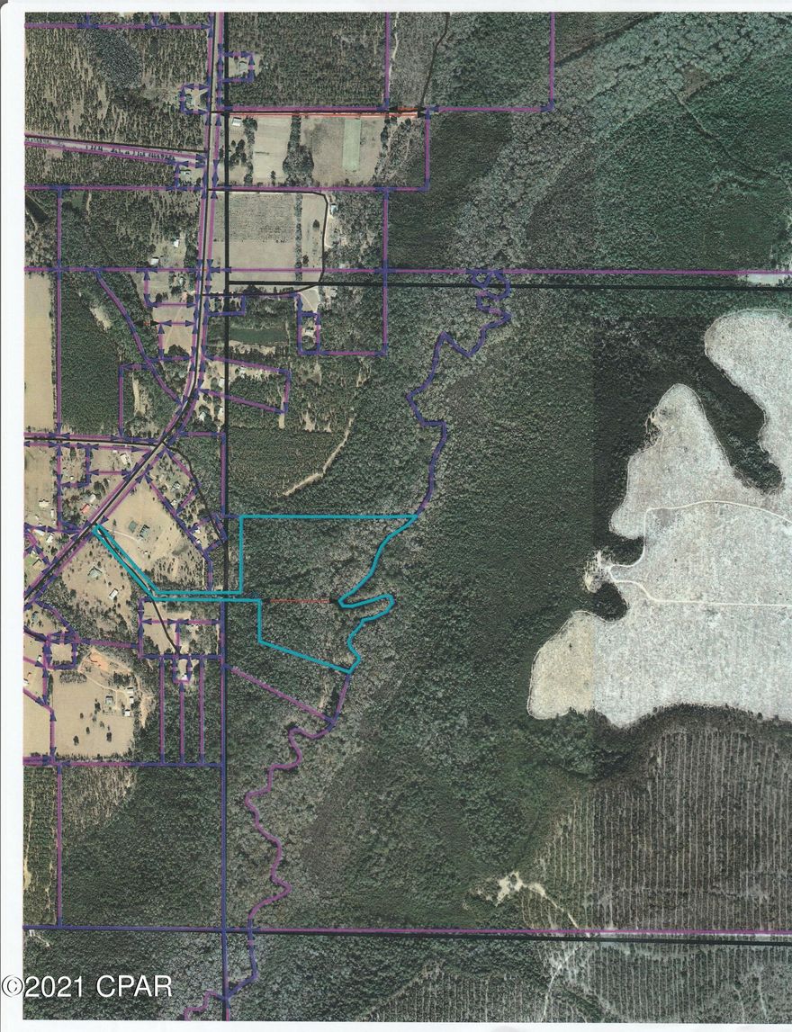 This little gem located on the heart of Telogia creek sits on 41.5 acres with thick woods open creek. This Property would be great for a camp or home. With creek and heavy wooded area makes for some good camping, hunting and fishing! Road would need to be made for creek access.