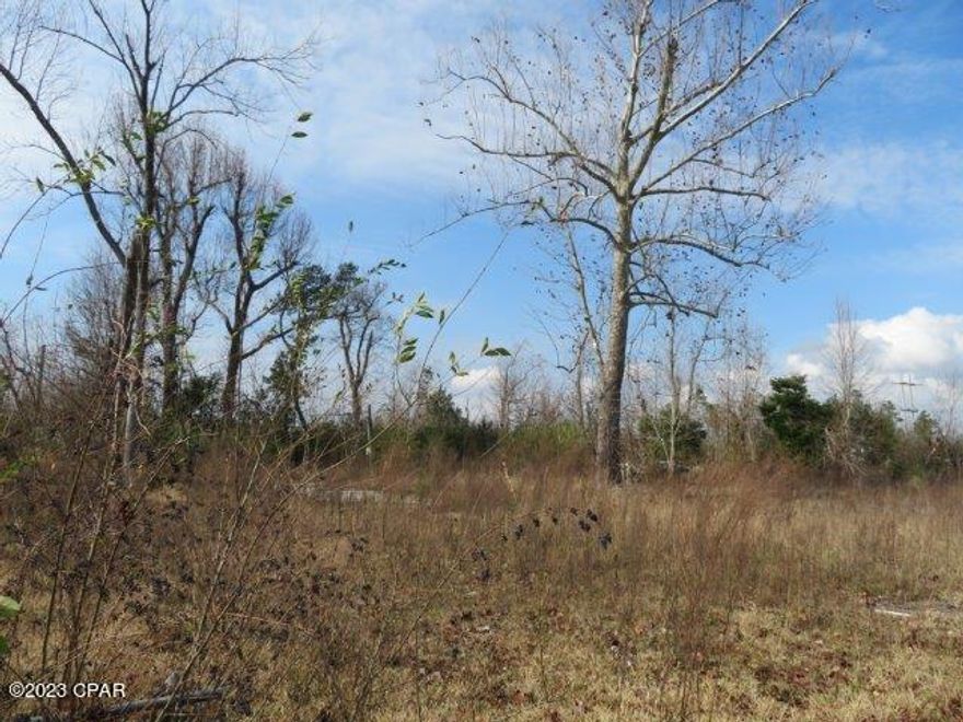 Great opportunity for over half an acre lot just east of Panama City! Plenty of space for your dream home! Close to shopping, dining, and major highways! Submit your offer today!