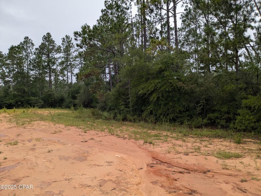 Cul-de-sac lot at the very end of Deshutes Dr. Very peaceful and quiet, no neighbors around... Lot is wooded with different types of trees. Would make a great home site for a family.