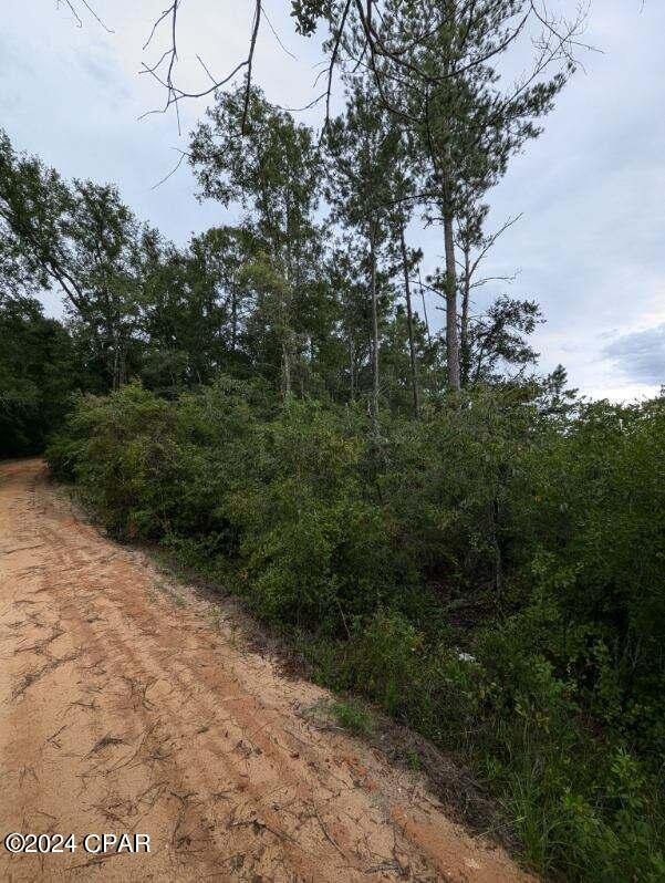 Payne Lakes Phase Two - Land