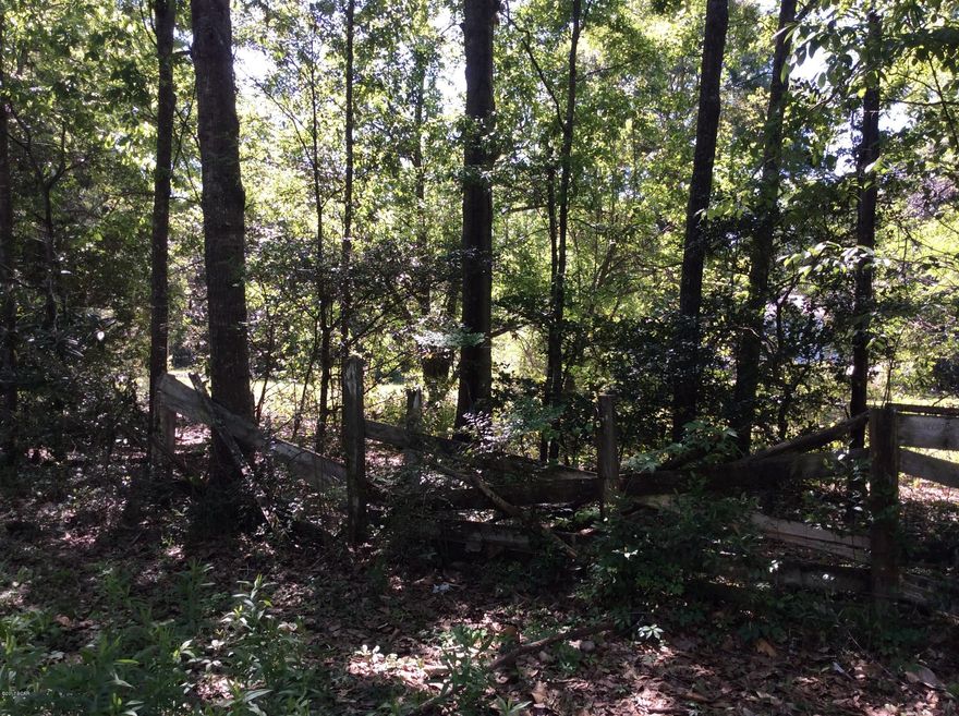 Nice lot in an established neighborhood.

Lots of shade trees. Close to the college.