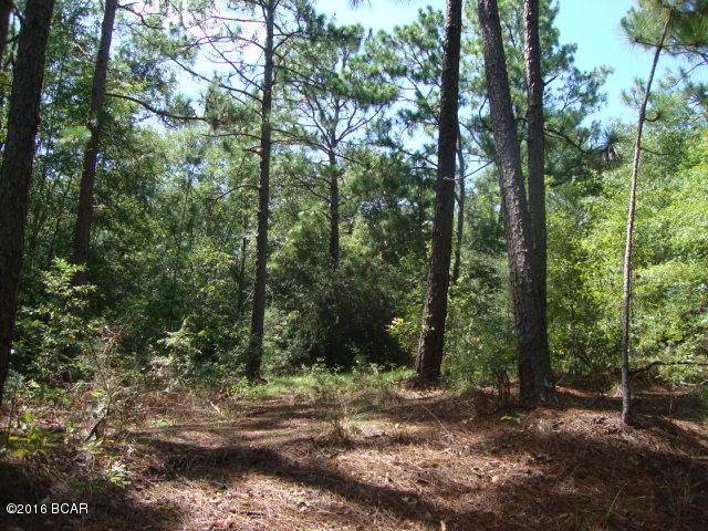 No Named Subdivision - Land