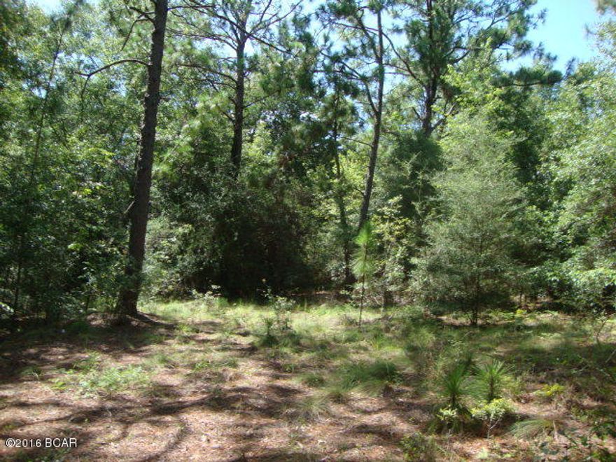 14 Acres More or Less. Mostly wood with hardwoods and few pines. Lots of possible home sites.  Lots of paved road frontage. North part of Holmes County Florida. Short distance to Alabama state line. Great hunting. Lots of deer and other wildlife. Won't last long at this great price.