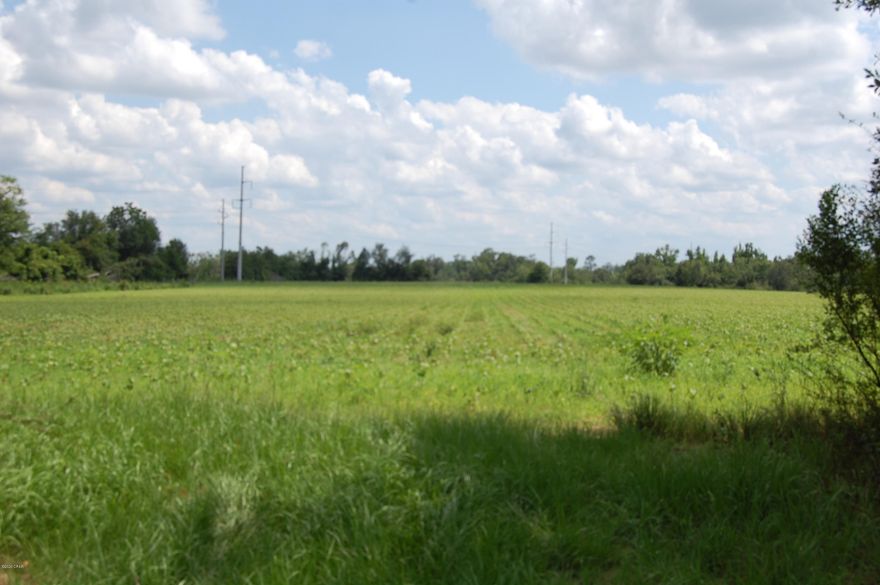 37 acres of farm land and country home that has recent metal roof but extensive damage inside along. Very convenient to town and I-10.