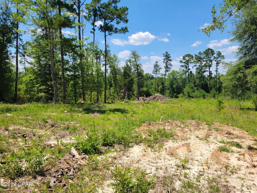 TWO acres high and dry near Chipola River! Property has well, septic and power.  Spacious lot is only minutes away from downtown Marianna. Must see!