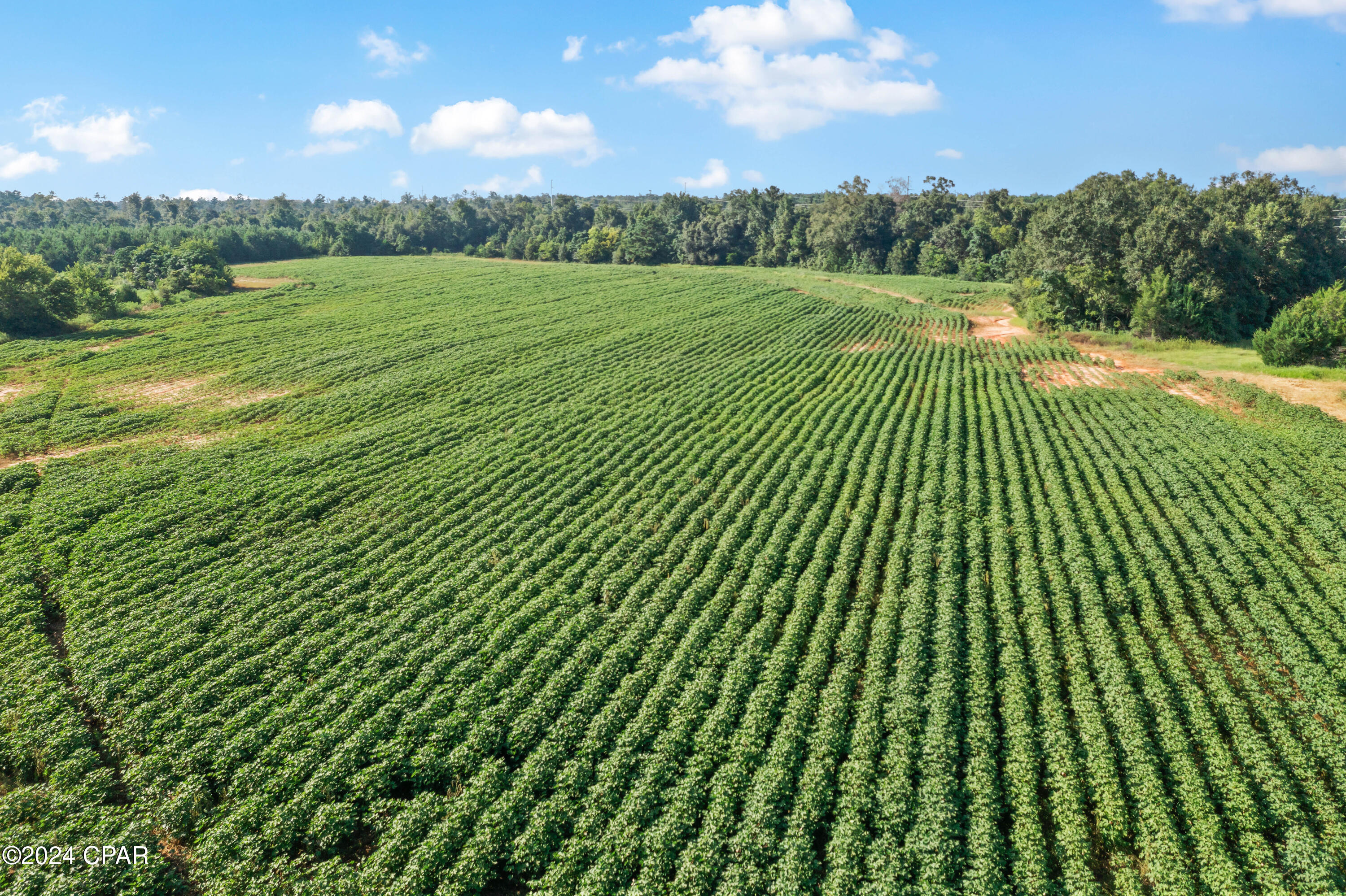 [No Recorded Subdiv] - Land