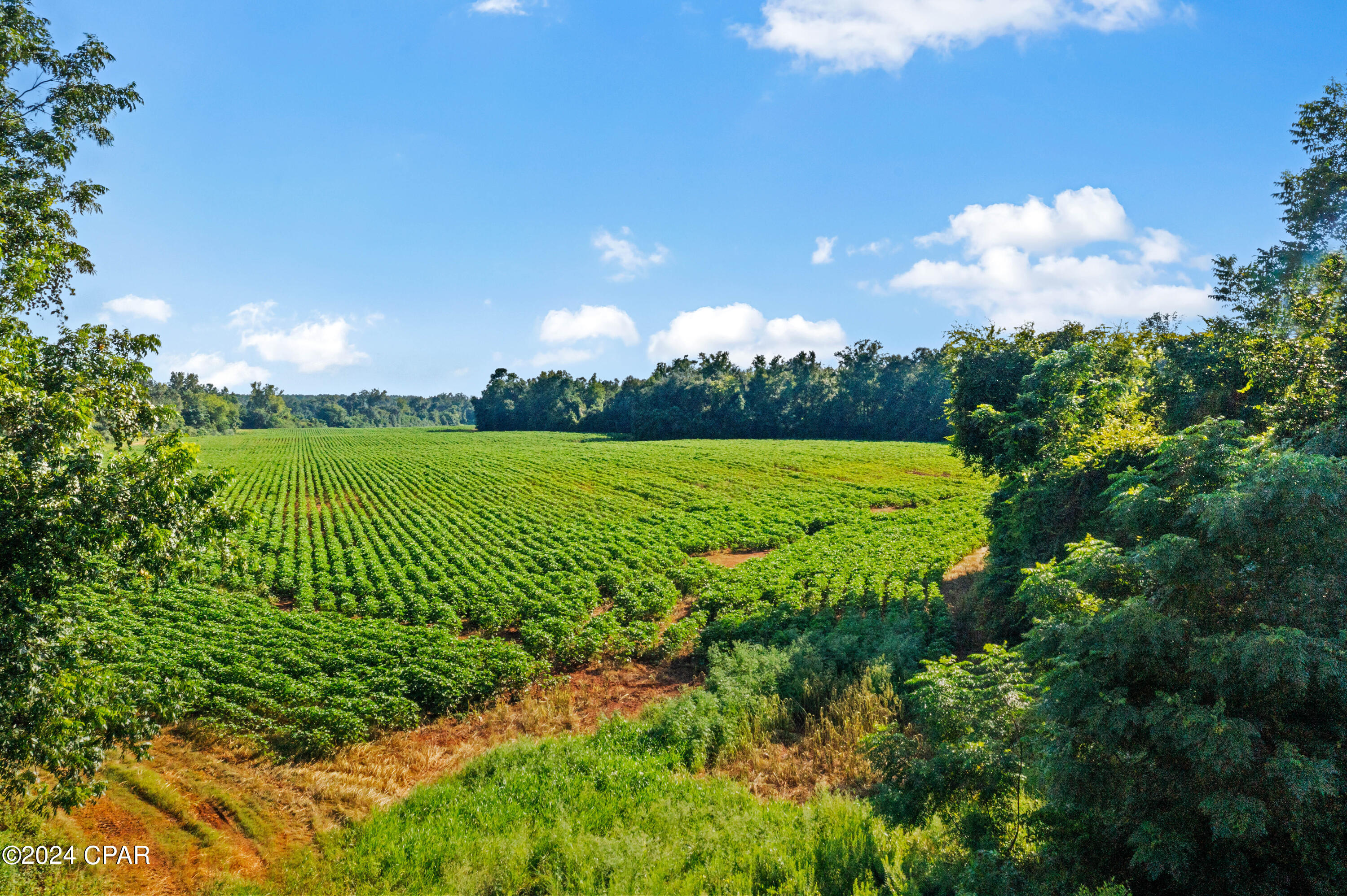 [No Recorded Subdiv] - Land