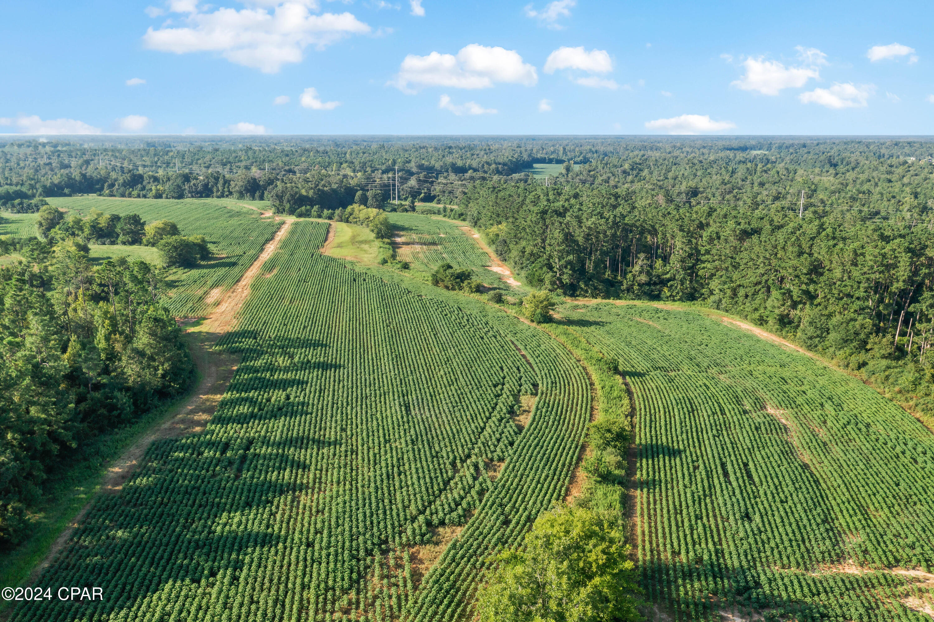 [No Recorded Subdiv] - Land