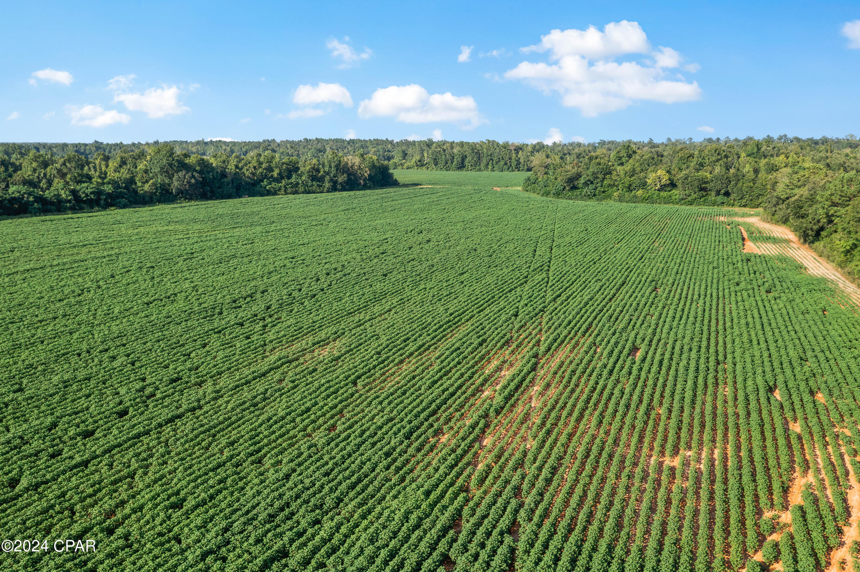 [No Recorded Subdiv] - Land